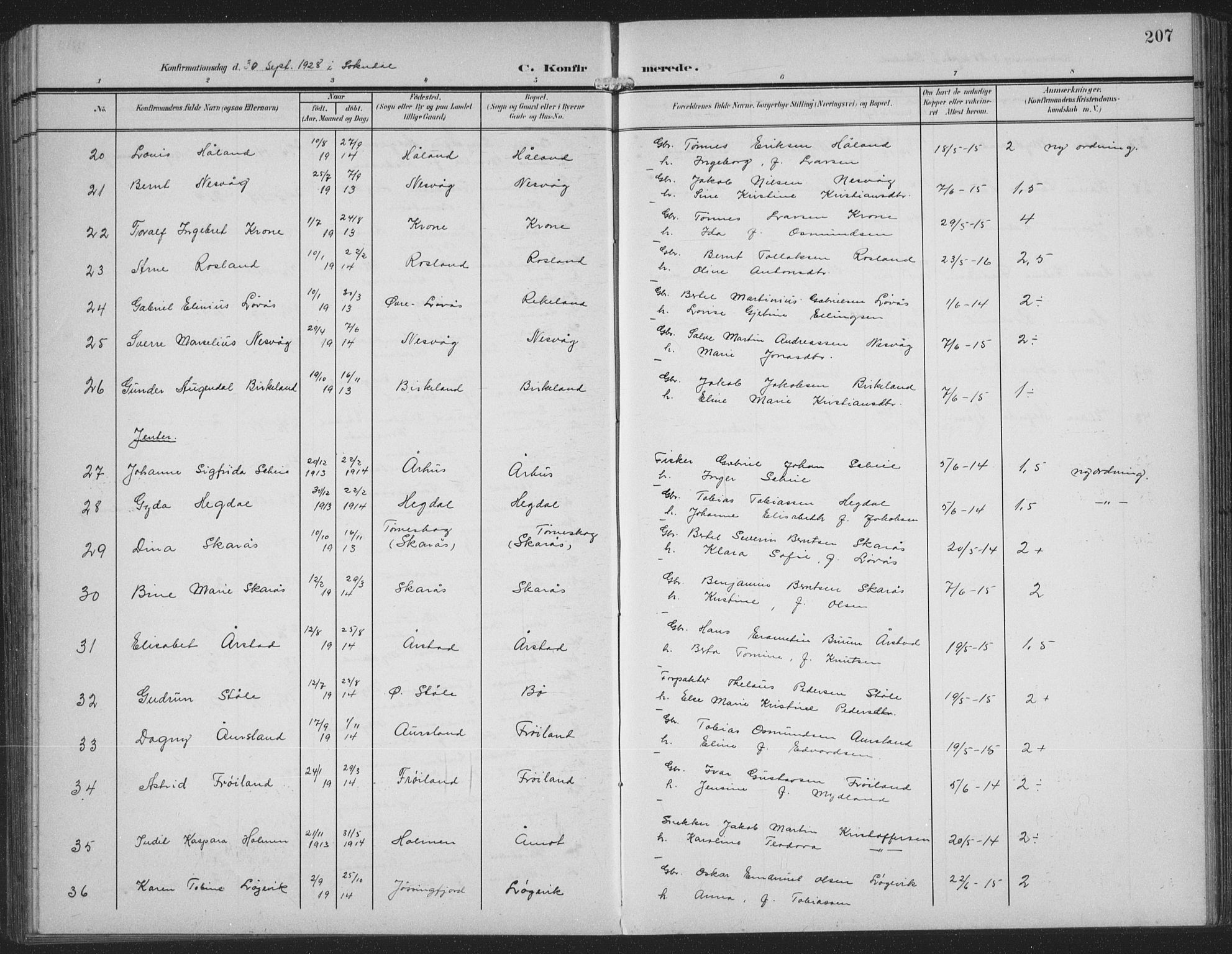 Sokndal sokneprestkontor, AV/SAST-A-101808: Parish register (copy) no. B 8, 1908-1934, p. 207