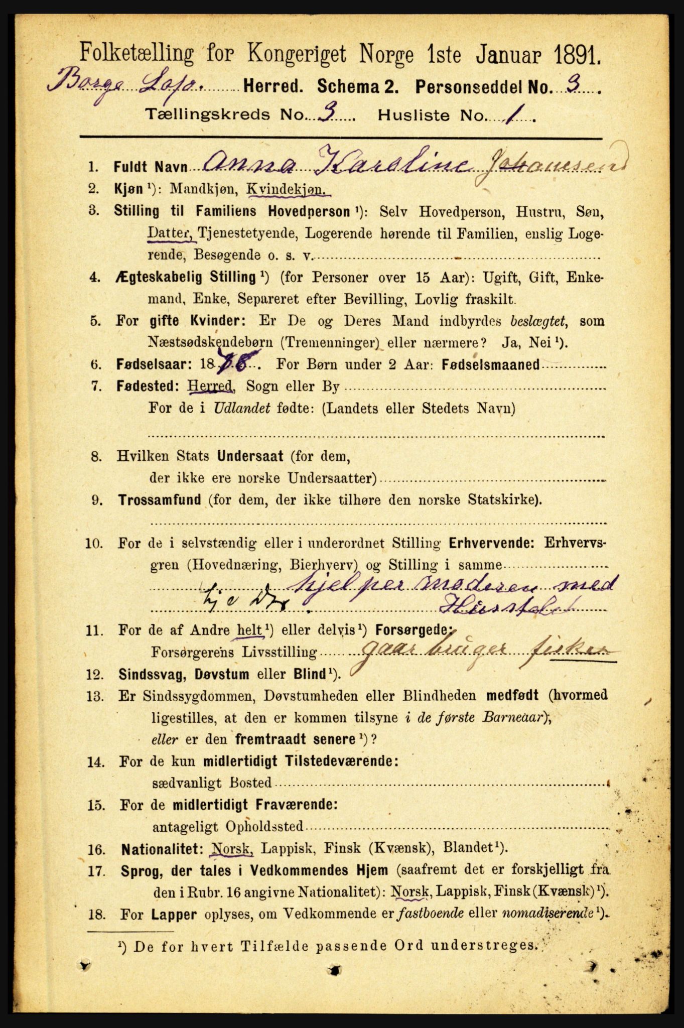 RA, 1891 census for 1862 Borge, 1891, p. 1550