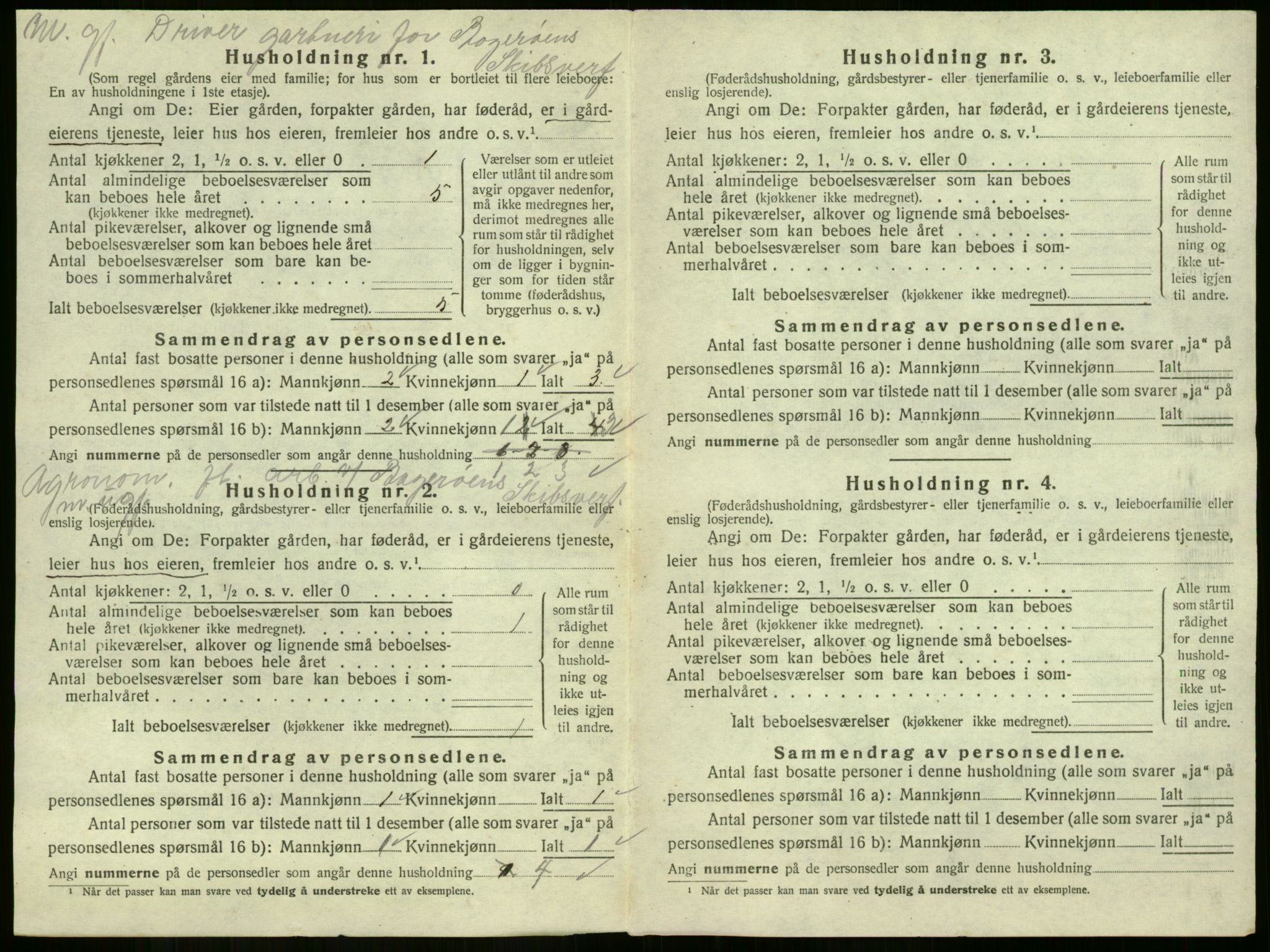 SAKO, 1920 census for Strømm, 1920, p. 233