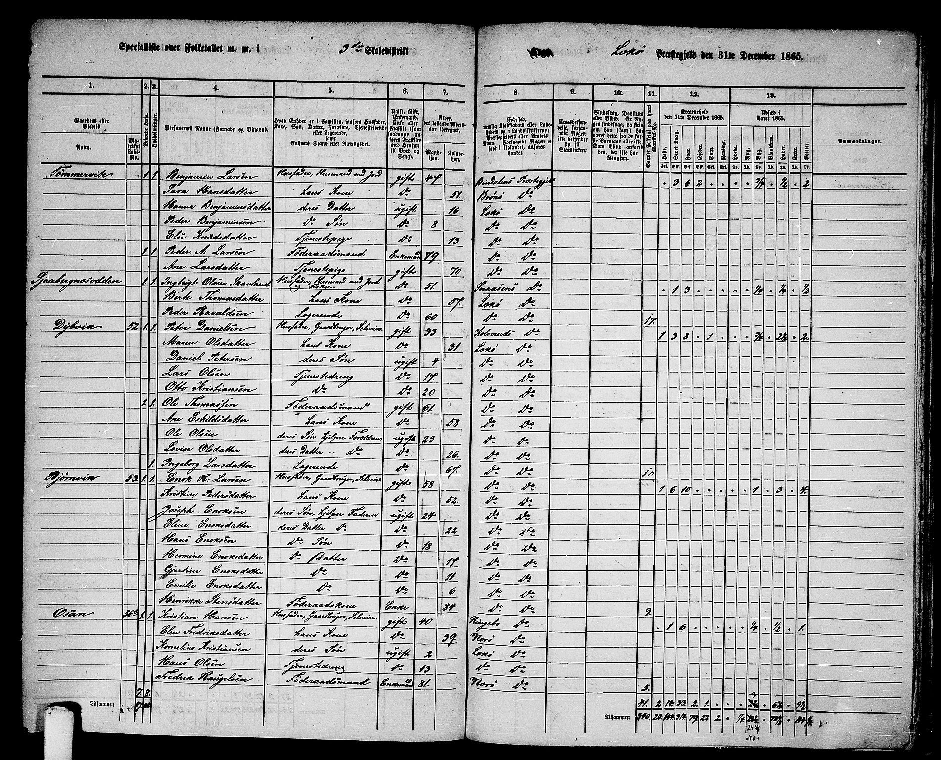 RA, 1865 census for Leka, 1865, p. 33