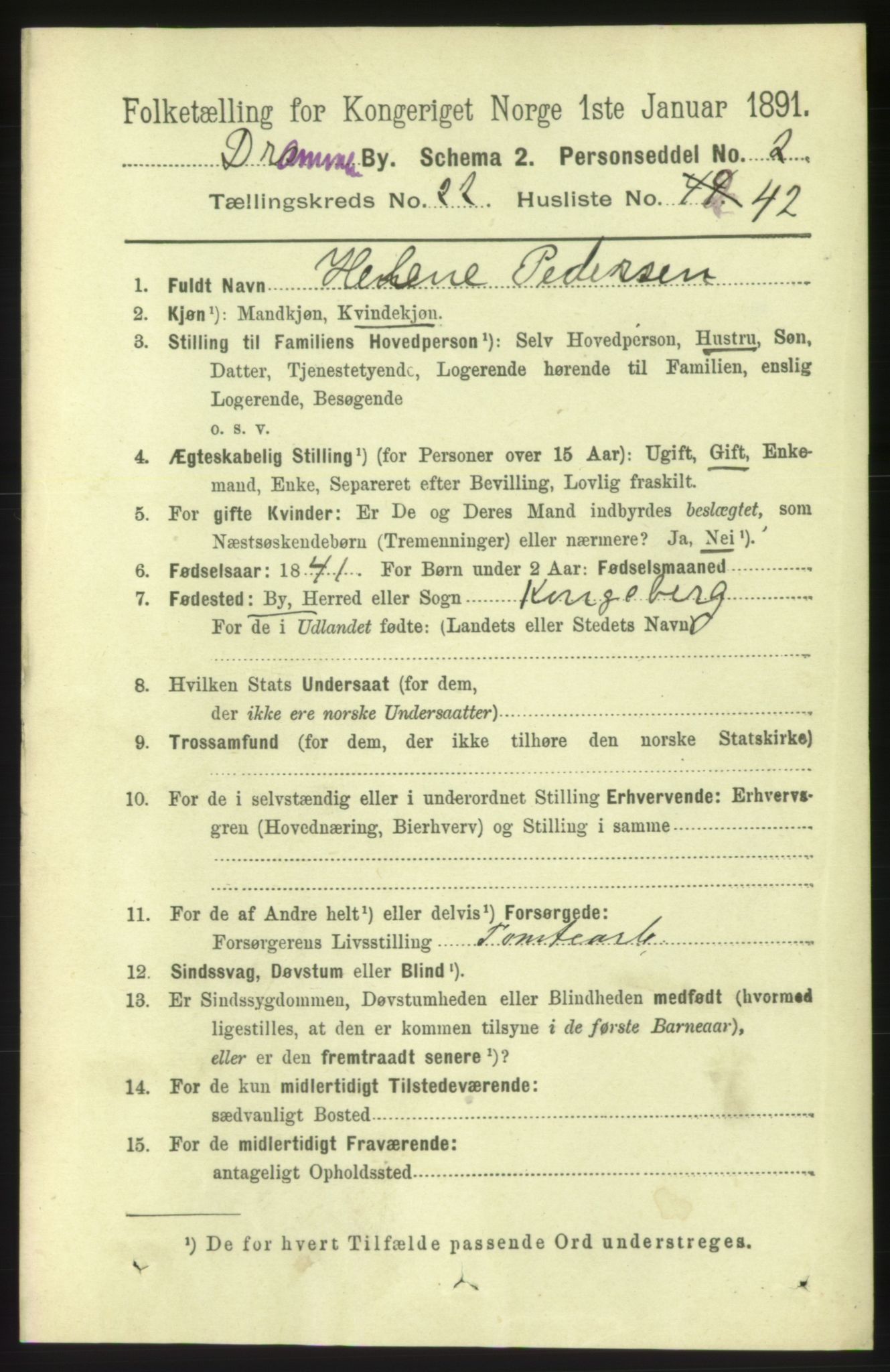 RA, 1891 census for 0602 Drammen, 1891, p. 14052