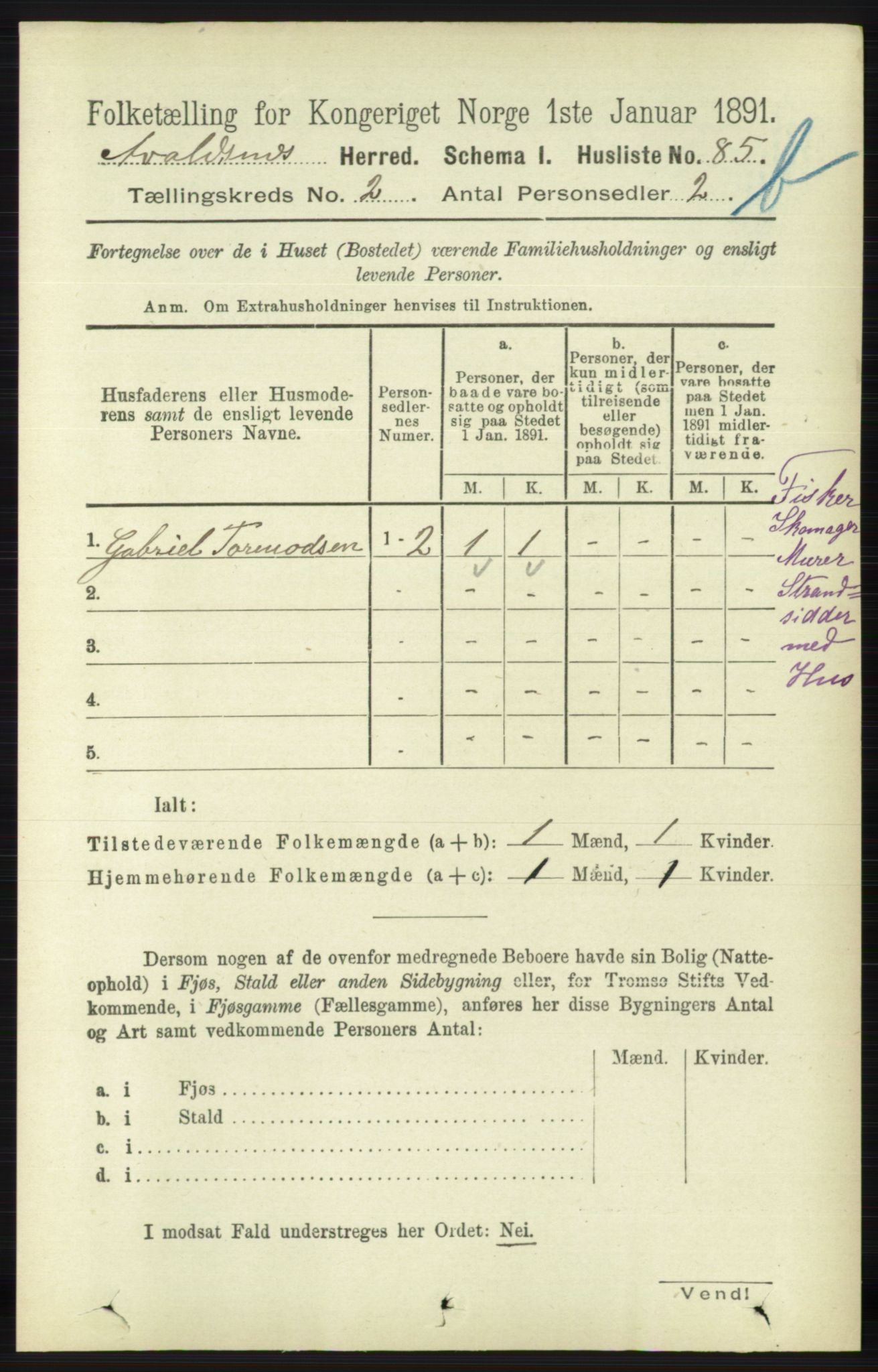 RA, 1891 census for 1147 Avaldsnes, 1891, p. 1974