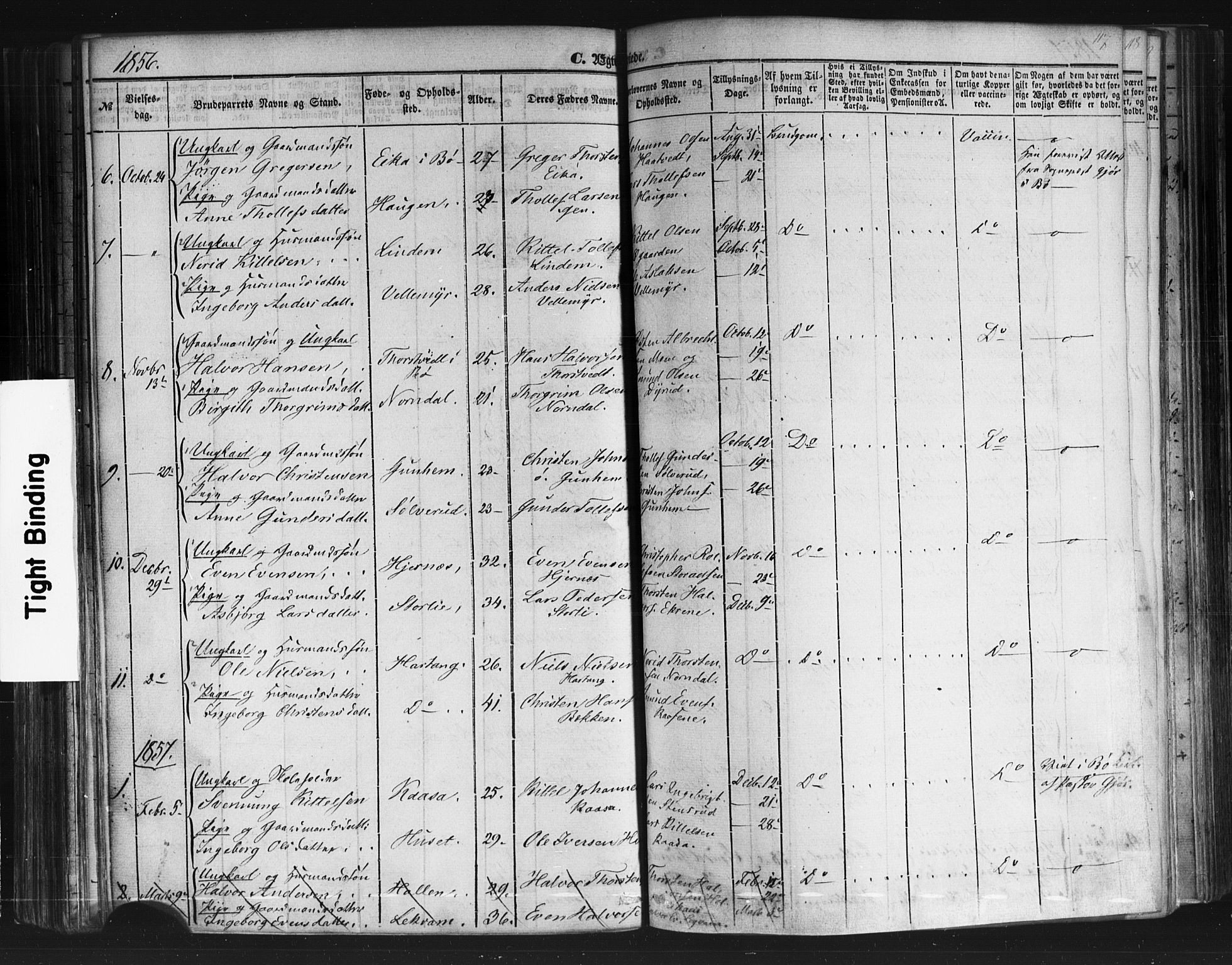 Sauherad kirkebøker, SAKO/A-298/F/Fb/L0001: Parish register (official) no. II 1, 1851-1877, p. 117