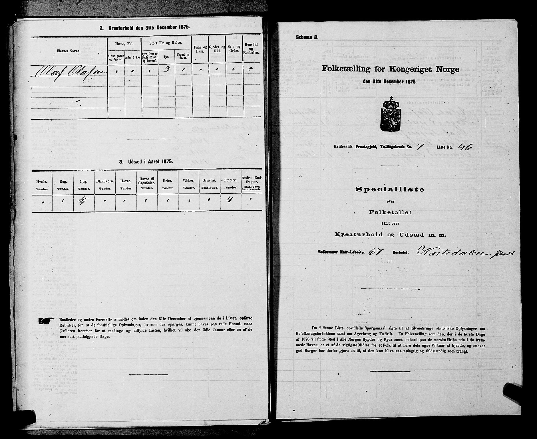 SAKO, 1875 census for 0829P Kviteseid, 1875, p. 669