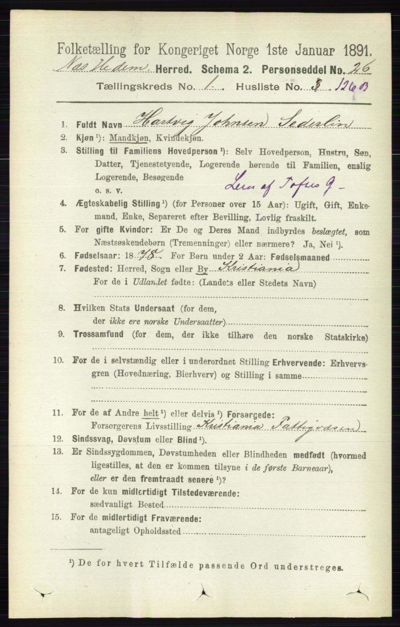 RA, 1891 census for 0411 Nes, 1891, p. 933