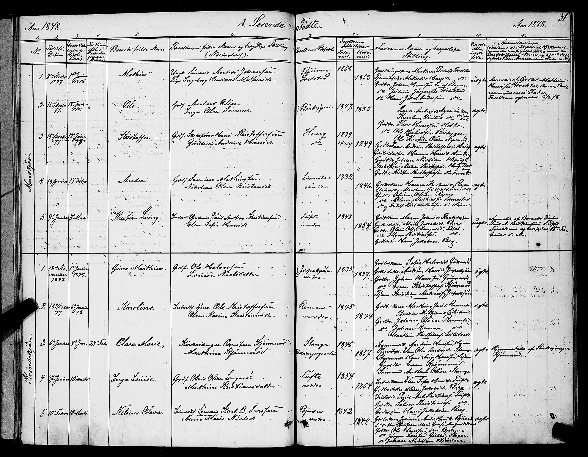 Ramnes kirkebøker, AV/SAKO-A-314/G/Ga/L0003: Parish register (copy) no. I 3, 1870-1896, p. 31