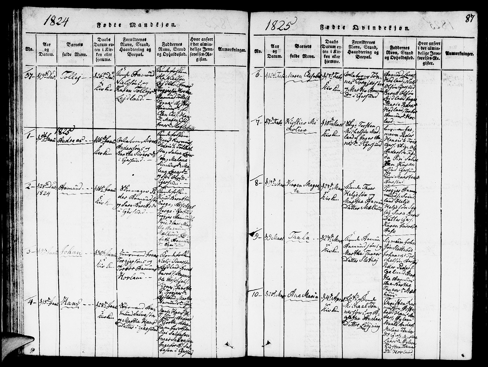 Eigersund sokneprestkontor, AV/SAST-A-101807/S09/L0001: Parish register (copy) no. B 1, 1815-1827, p. 87