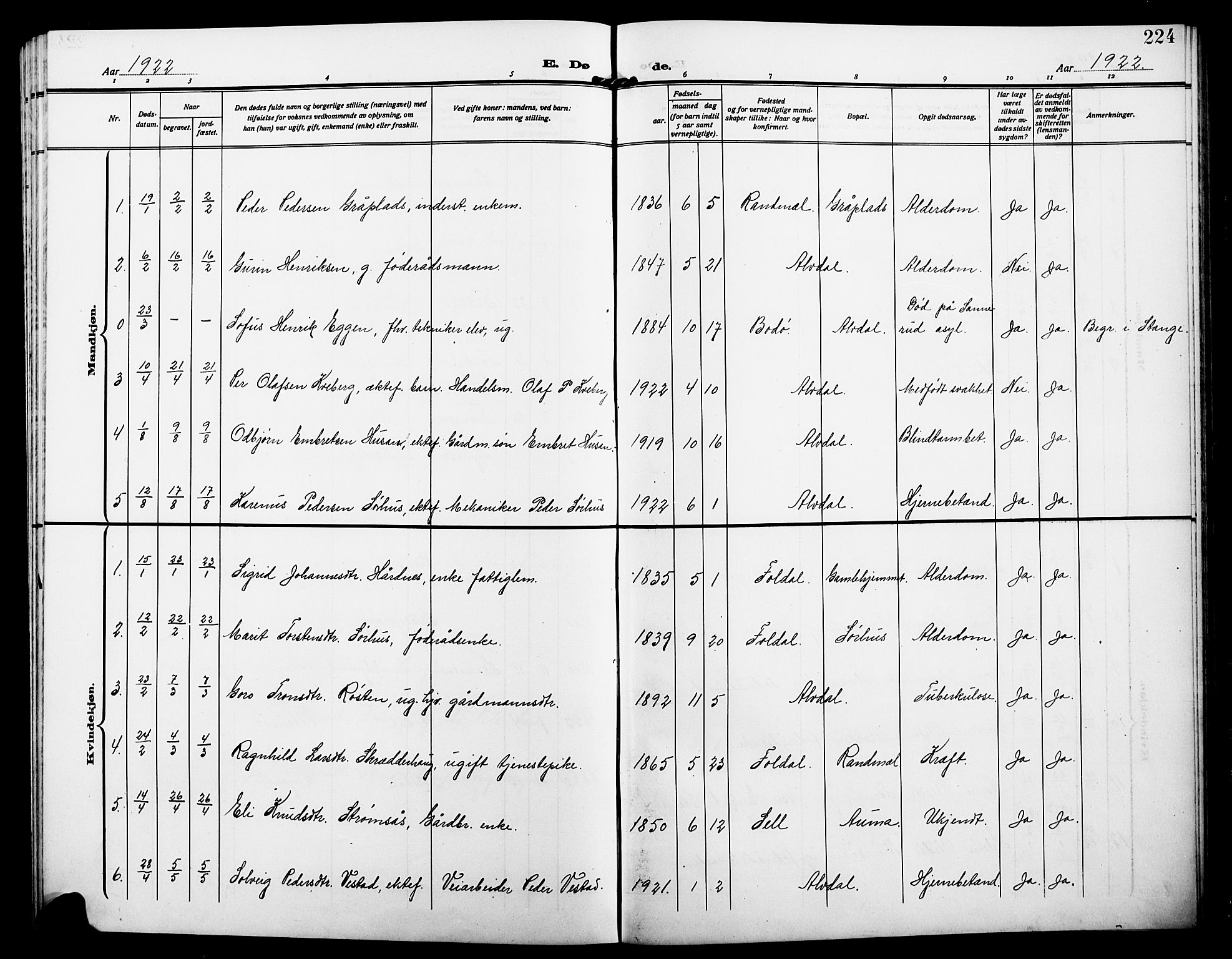 Alvdal prestekontor, AV/SAH-PREST-060/H/Ha/Hab/L0005: Parish register (copy) no. 5, 1908-1923, p. 224