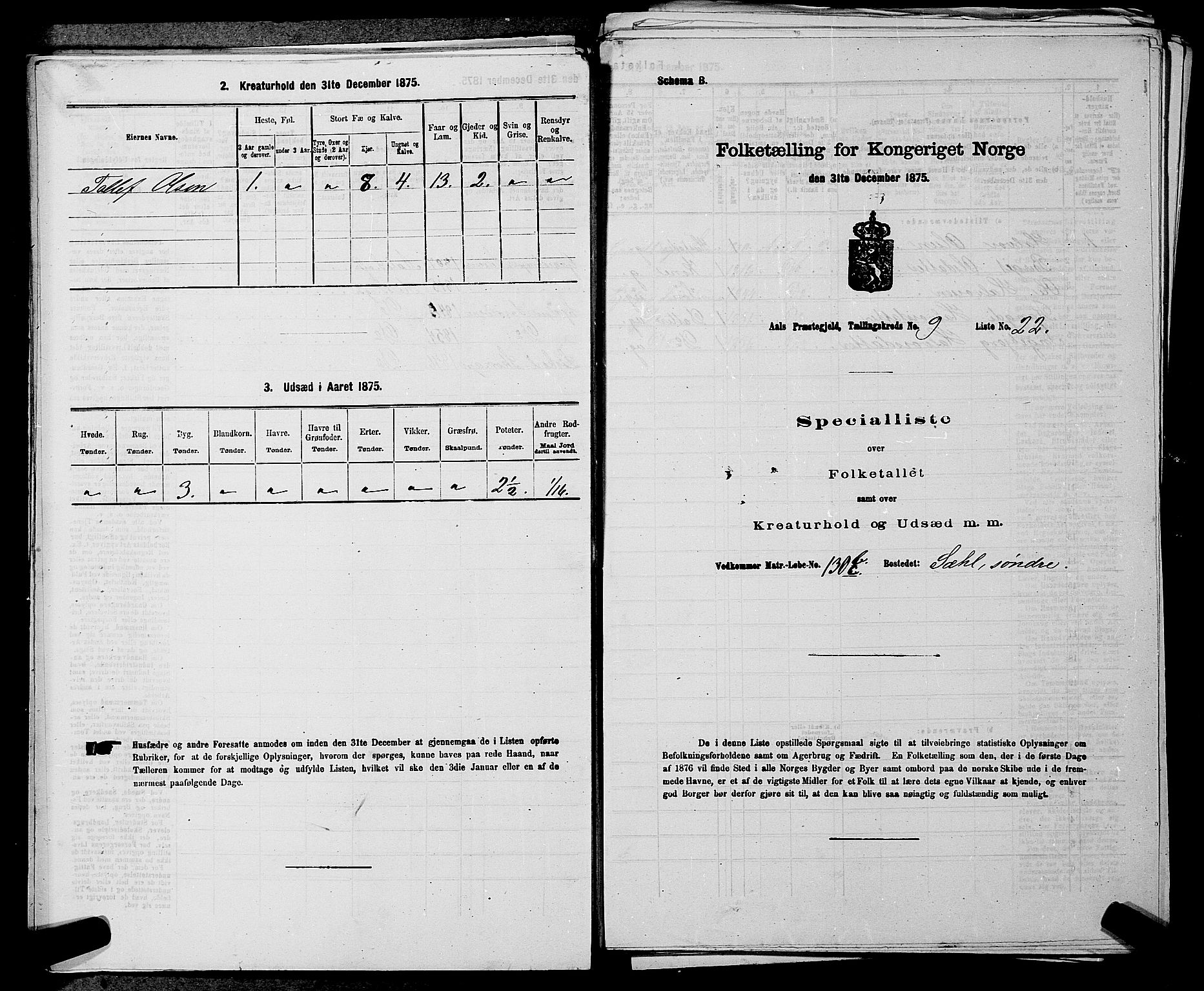 SAKO, 1875 census for 0619P Ål, 1875, p. 1139