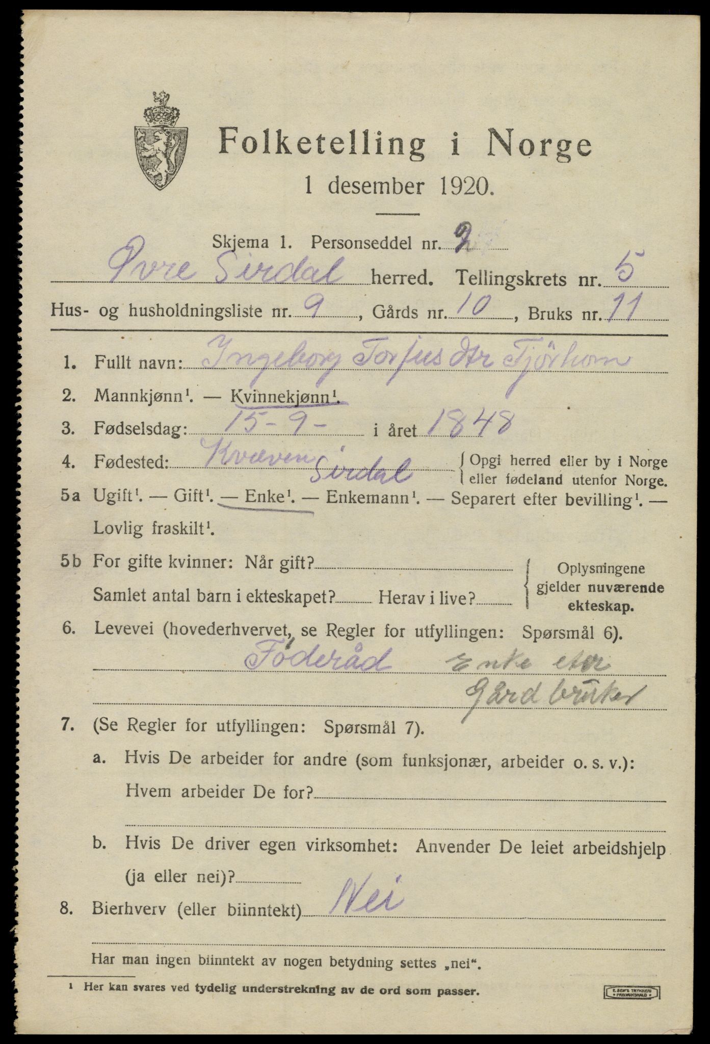 SAK, 1920 census for Øvre Sirdal, 1920, p. 1041