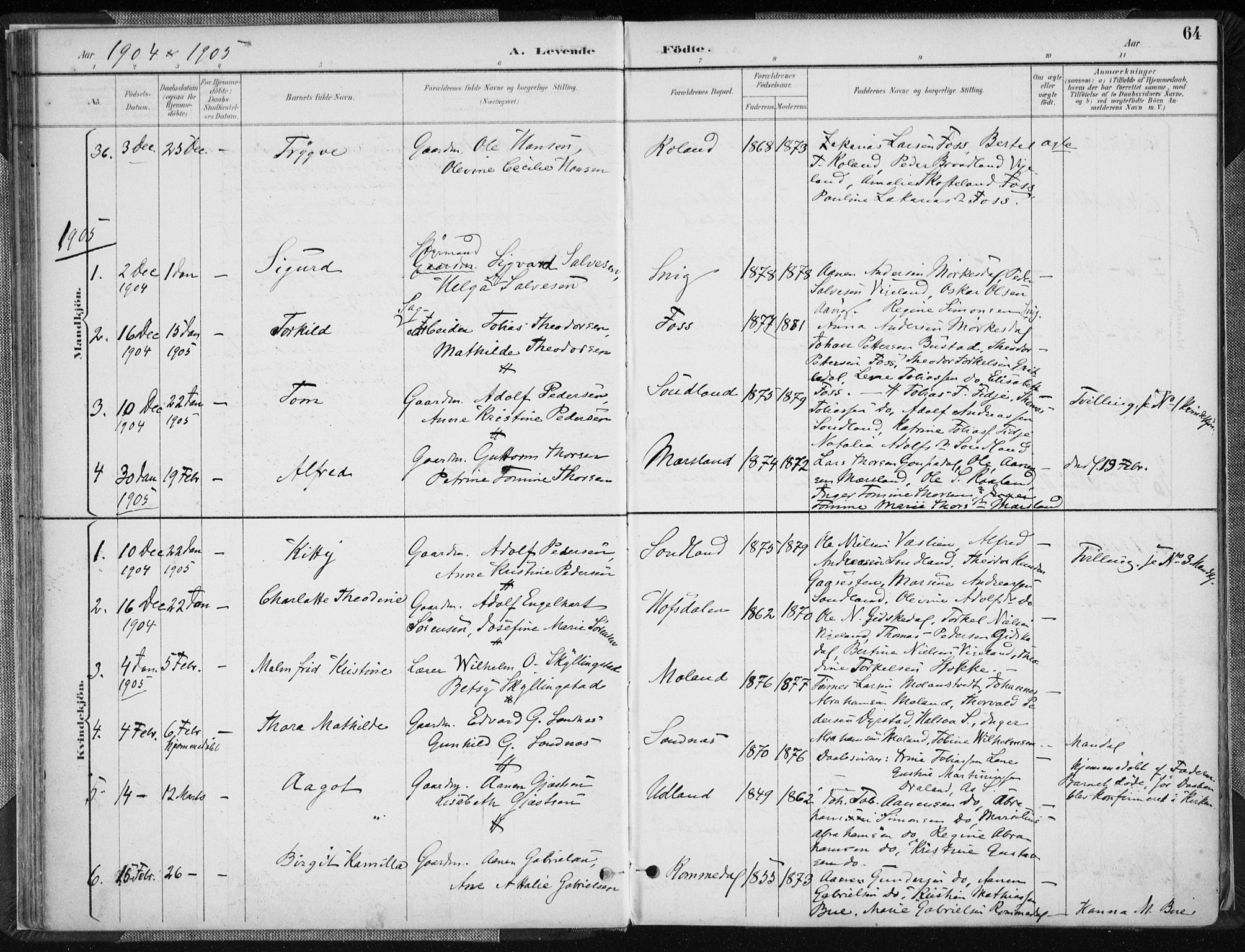 Sør-Audnedal sokneprestkontor, AV/SAK-1111-0039/F/Fa/Fab/L0010: Parish register (official) no. A 10, 1892-1913, p. 64