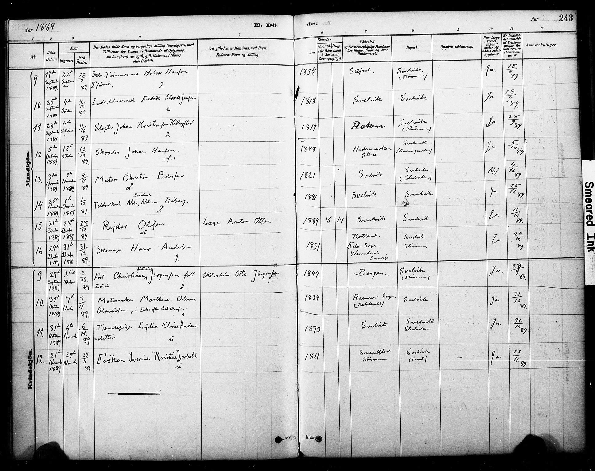 Strømm kirkebøker, AV/SAKO-A-322/F/Fb/L0001: Parish register (official) no. II 1, 1878-1899, p. 243