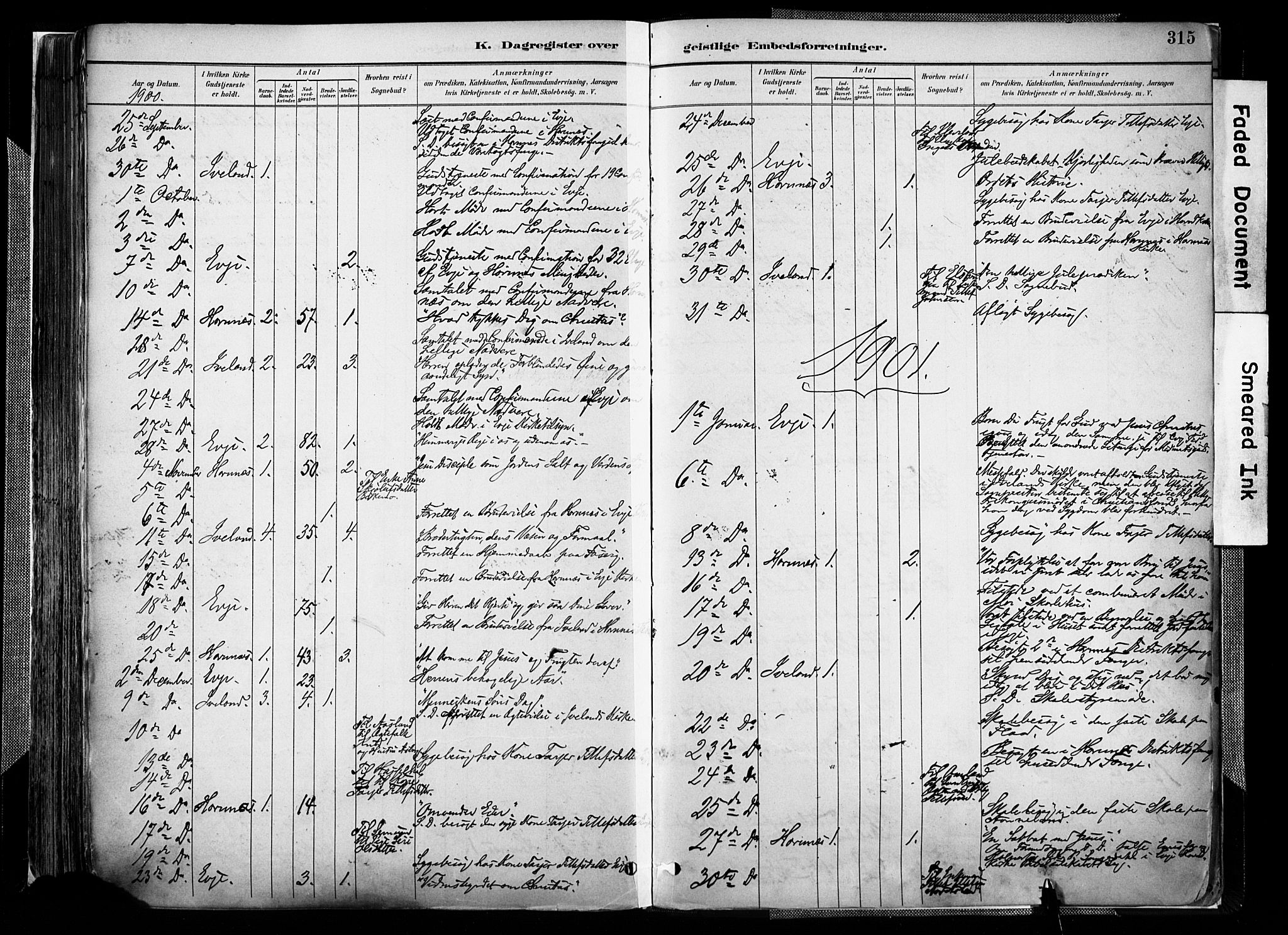 Evje sokneprestkontor, AV/SAK-1111-0008/F/Fa/Faa/L0007: Parish register (official) no. A 7, 1884-1909, p. 315