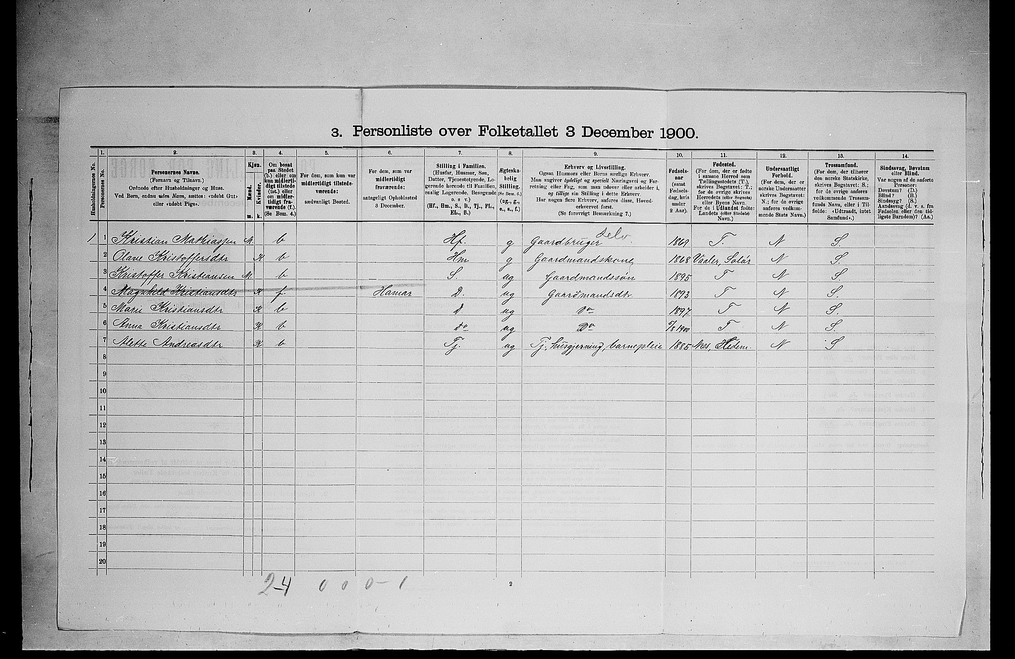 SAH, 1900 census for Ringsaker, 1900, p. 170