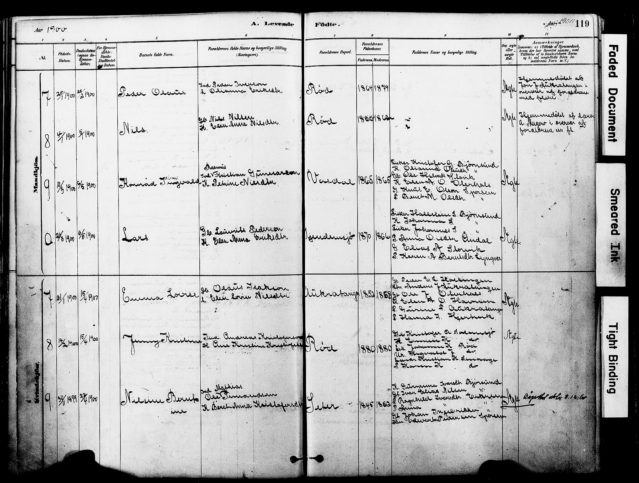 Ministerialprotokoller, klokkerbøker og fødselsregistre - Møre og Romsdal, AV/SAT-A-1454/560/L0721: Parish register (official) no. 560A05, 1878-1917, p. 119