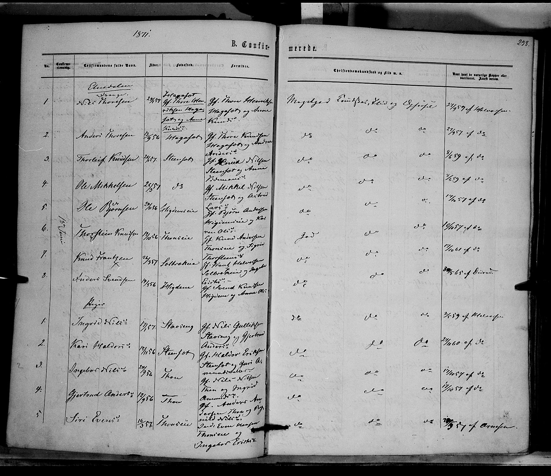 Nord-Aurdal prestekontor, SAH/PREST-132/H/Ha/Haa/L0008: Parish register (official) no. 8, 1863-1875, p. 238
