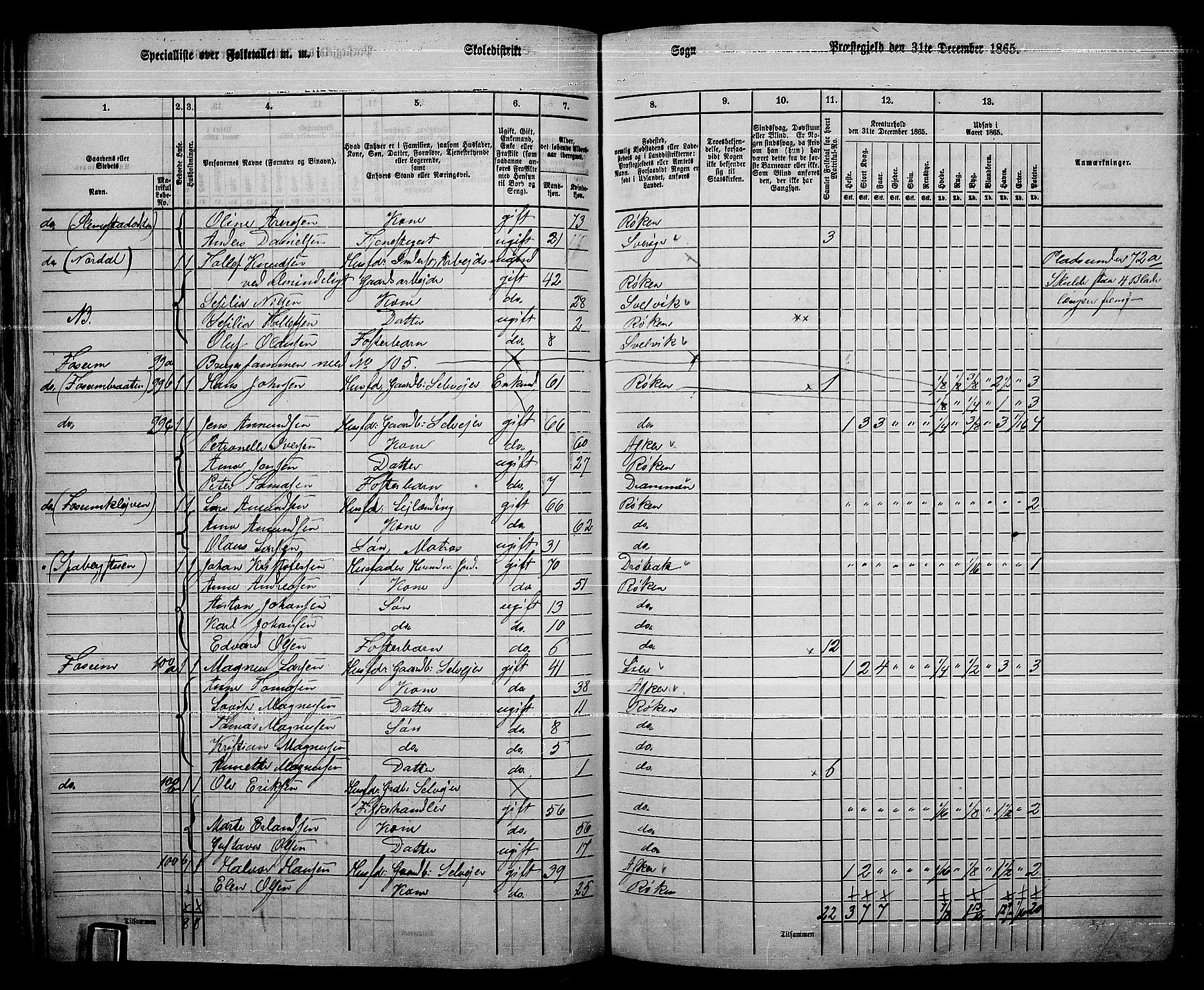 RA, 1865 census for Røyken, 1865, p. 73