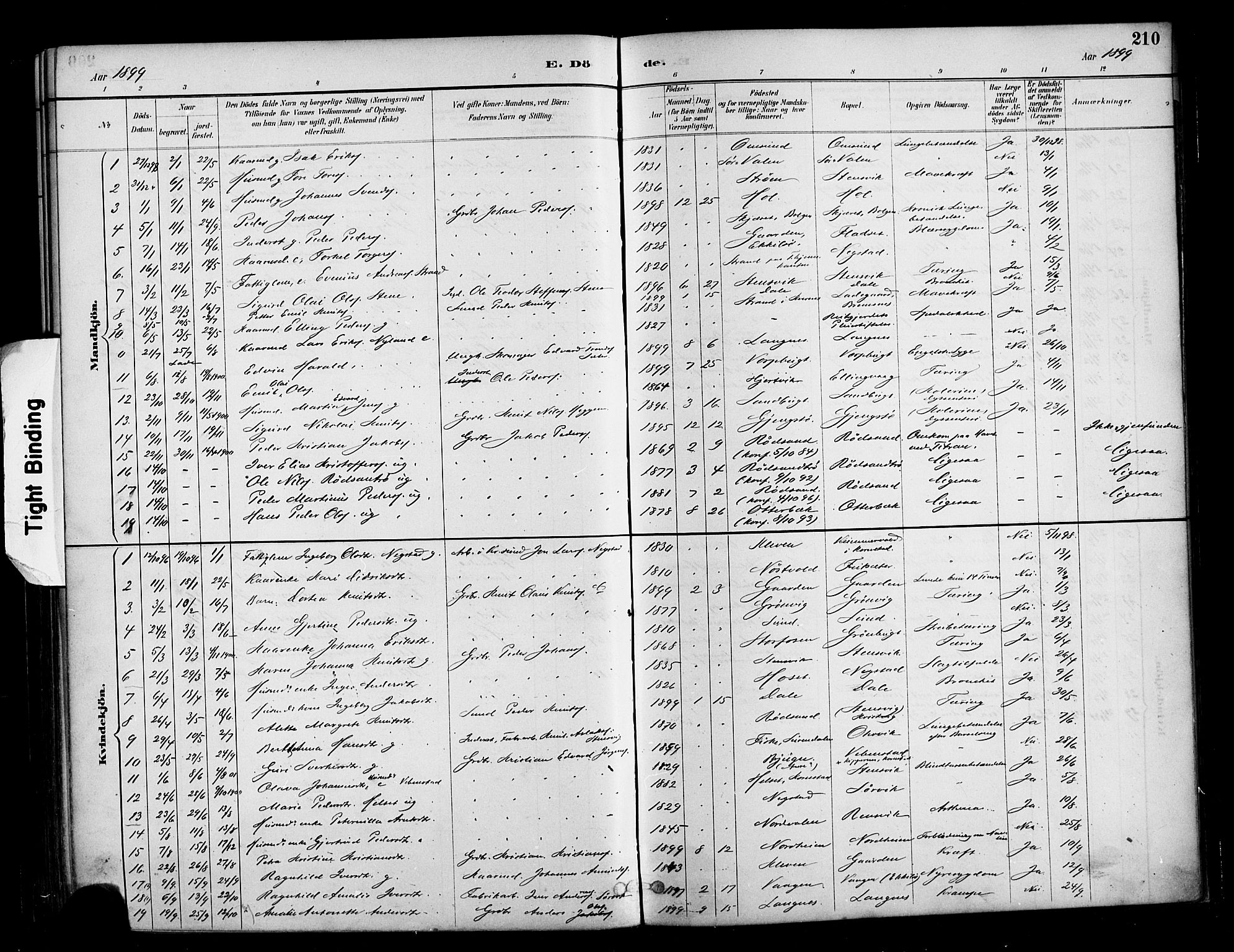 Ministerialprotokoller, klokkerbøker og fødselsregistre - Møre og Romsdal, SAT/A-1454/569/L0819: Parish register (official) no. 569A05, 1885-1899, p. 210
