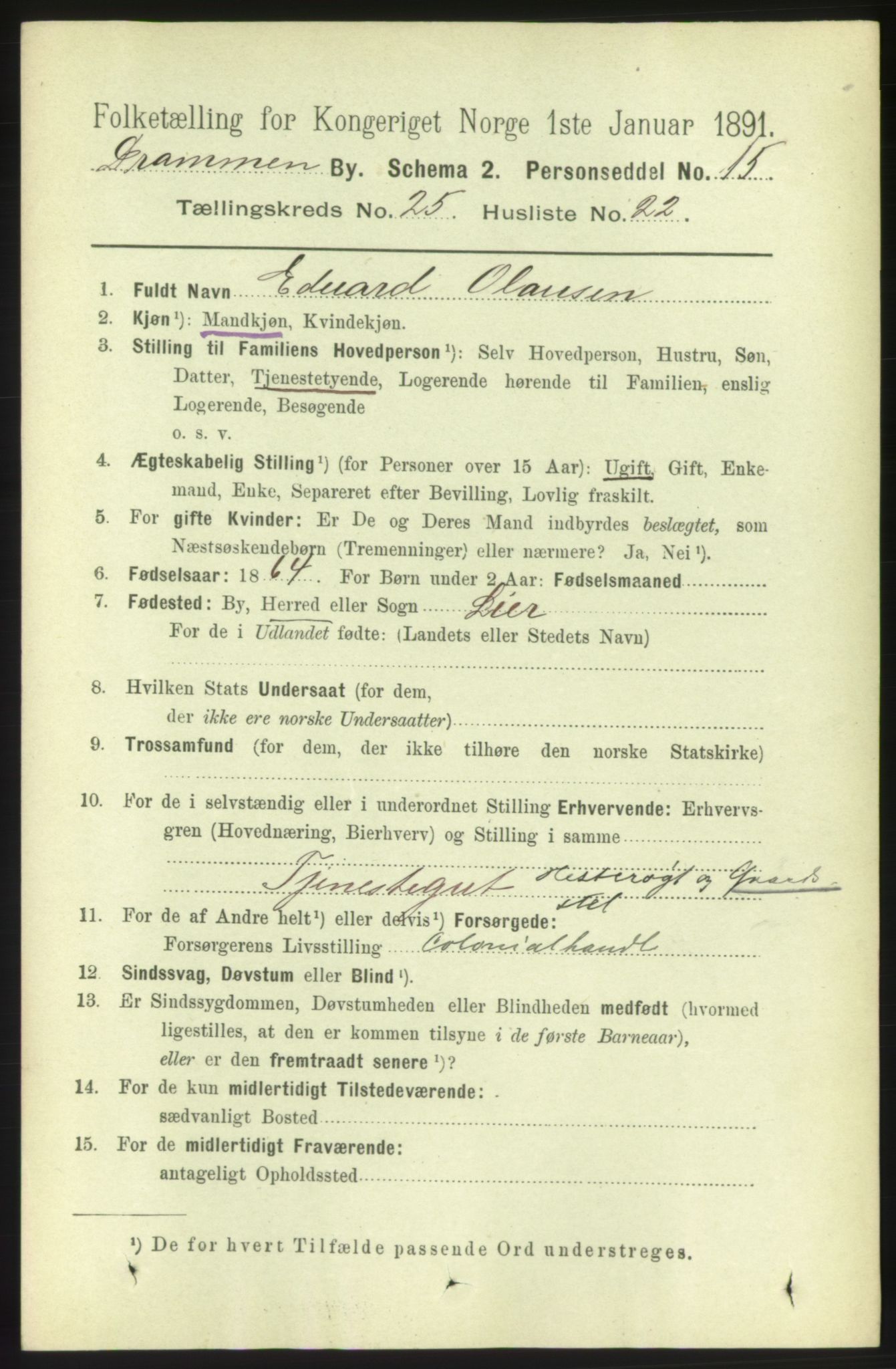 RA, 1891 census for 0602 Drammen, 1891, p. 15422