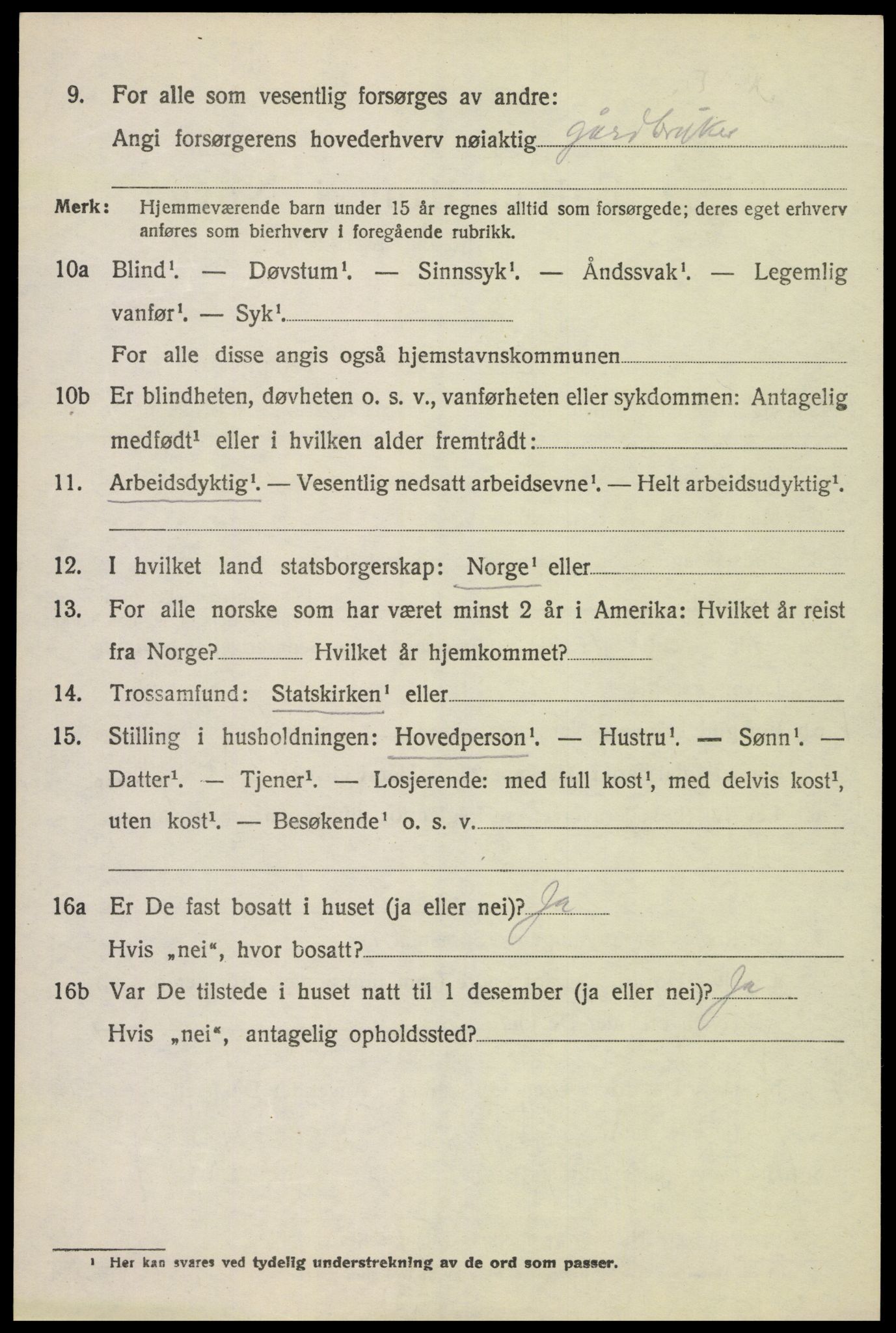 SAH, 1920 census for Vang (Hedmark), 1920, p. 11064