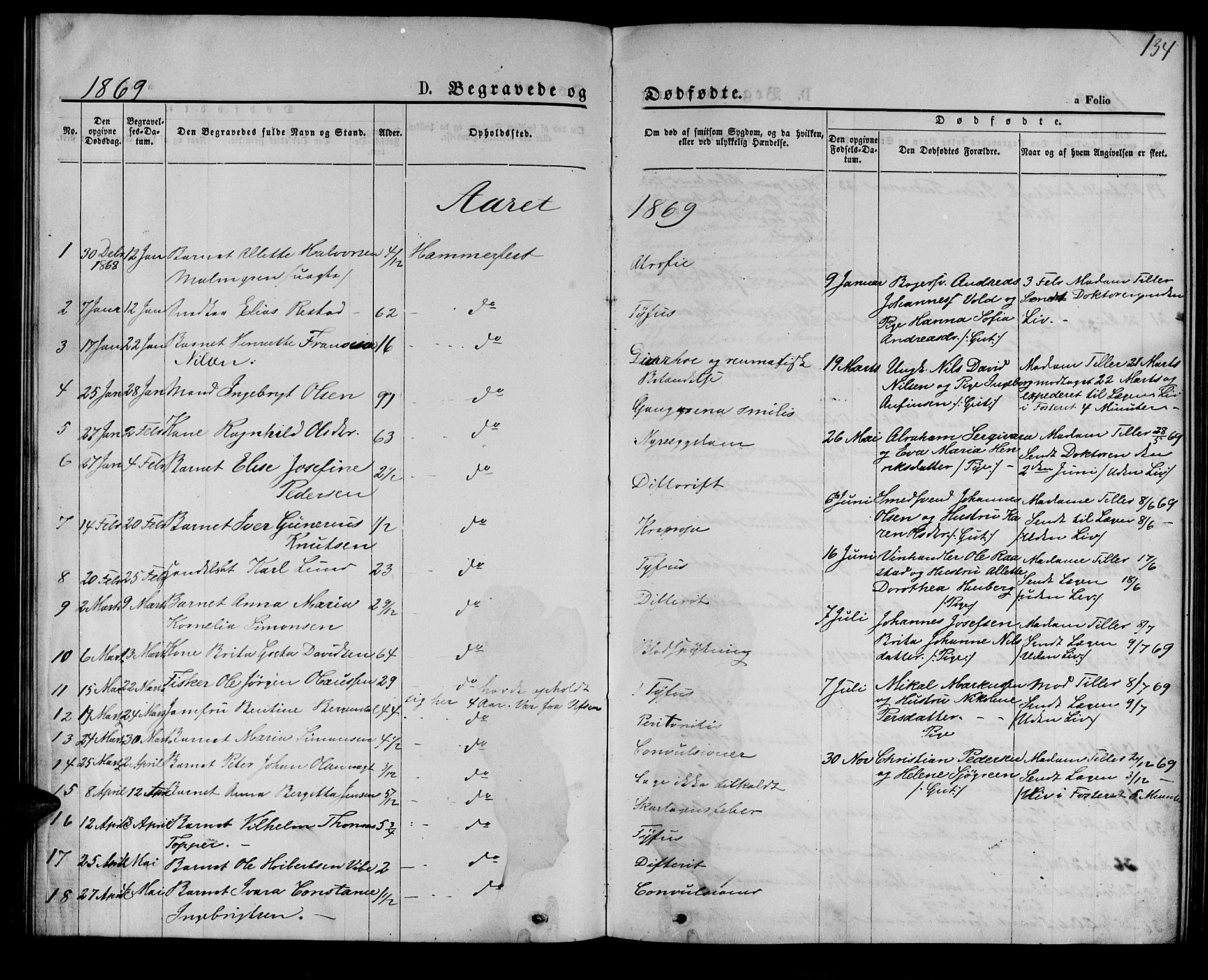Hammerfest sokneprestkontor, SATØ/S-1347/H/Hb/L0004.klokk: Parish register (copy) no. 4, 1869-1877, p. 134