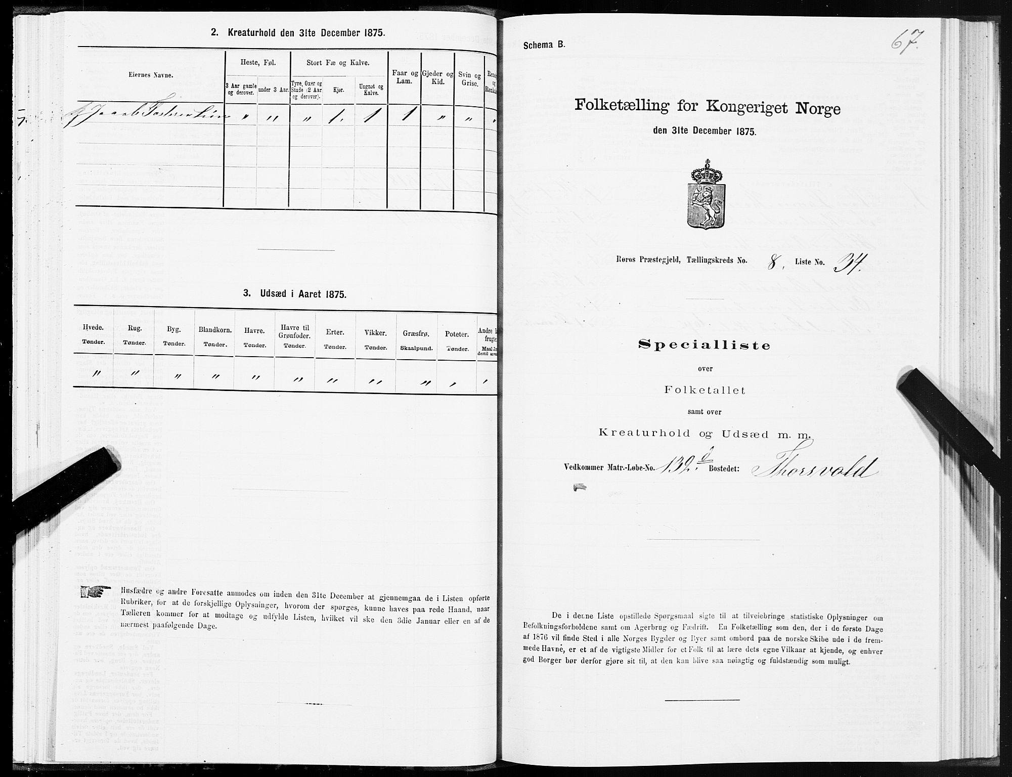 SAT, 1875 census for 1640P Røros, 1875, p. 5067