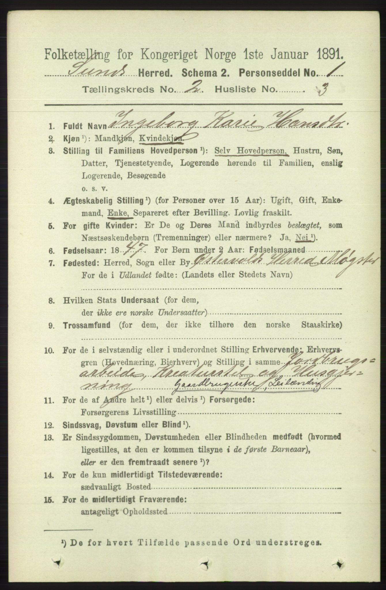 RA, 1891 census for 1245 Sund, 1891, p. 602