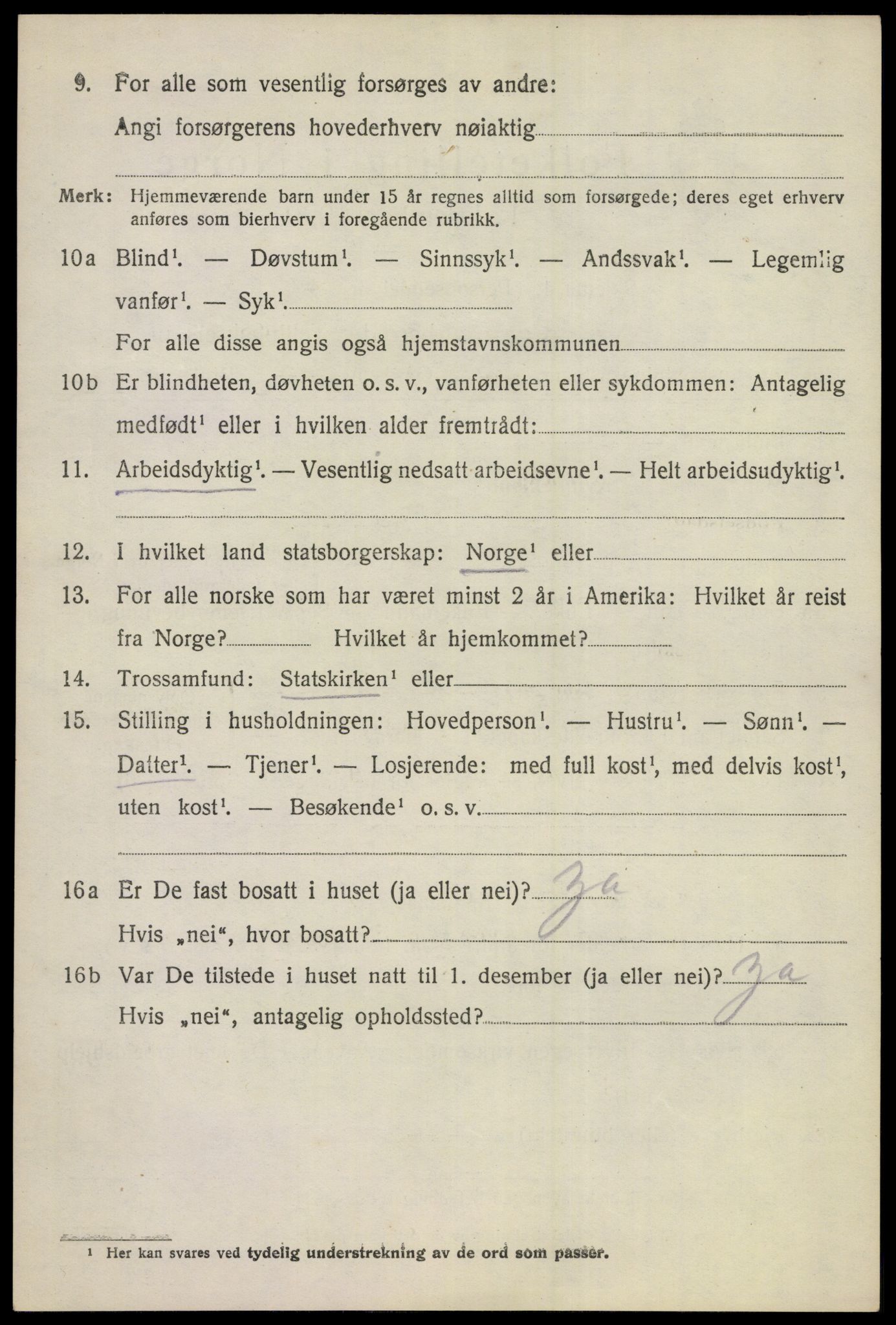 SAKO, 1920 census for Hol (Buskerud), 1920, p. 2944