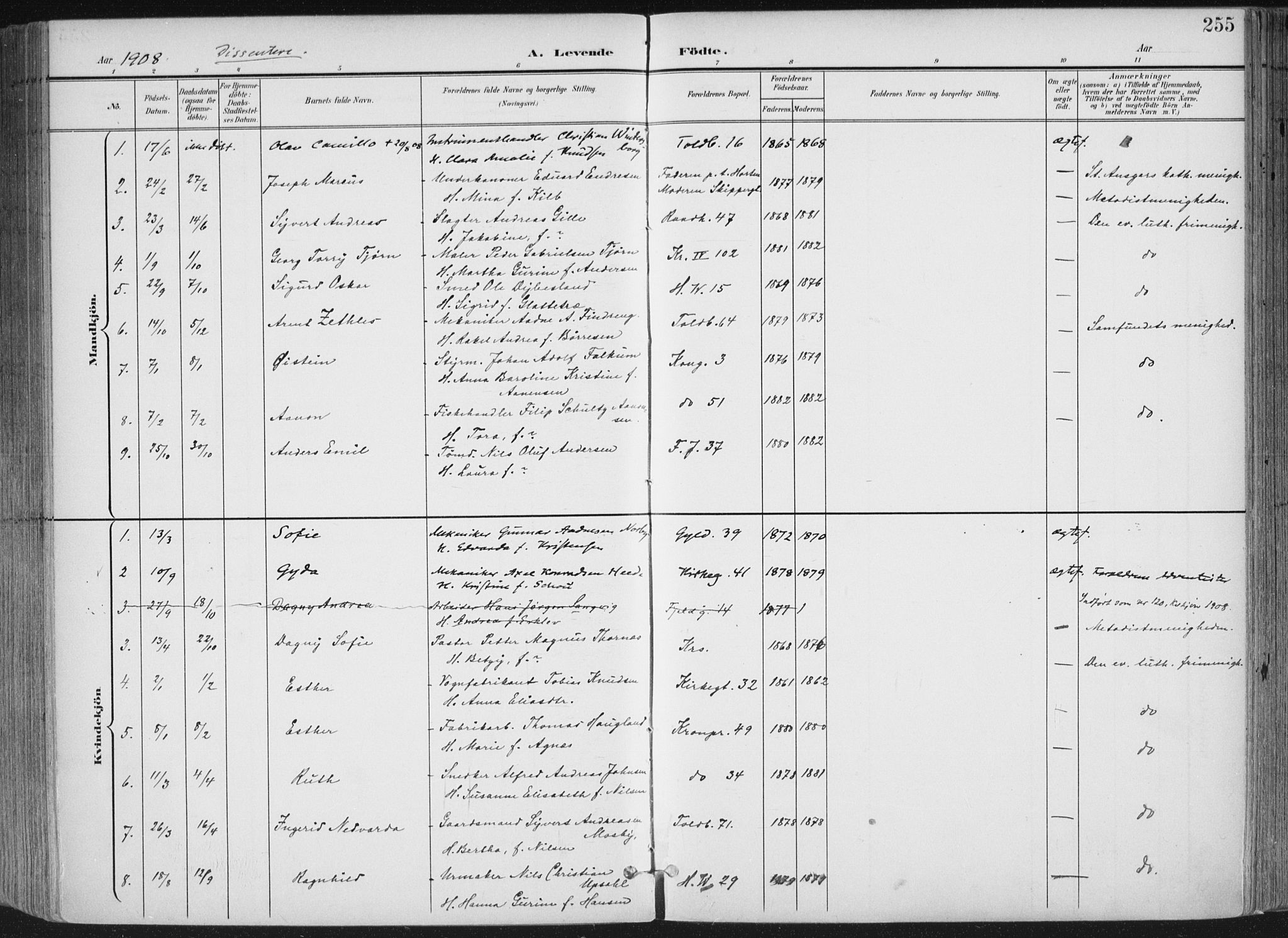 Kristiansand domprosti, SAK/1112-0006/F/Fa/L0021: Parish register (official) no. A 20, 1898-1908, p. 255