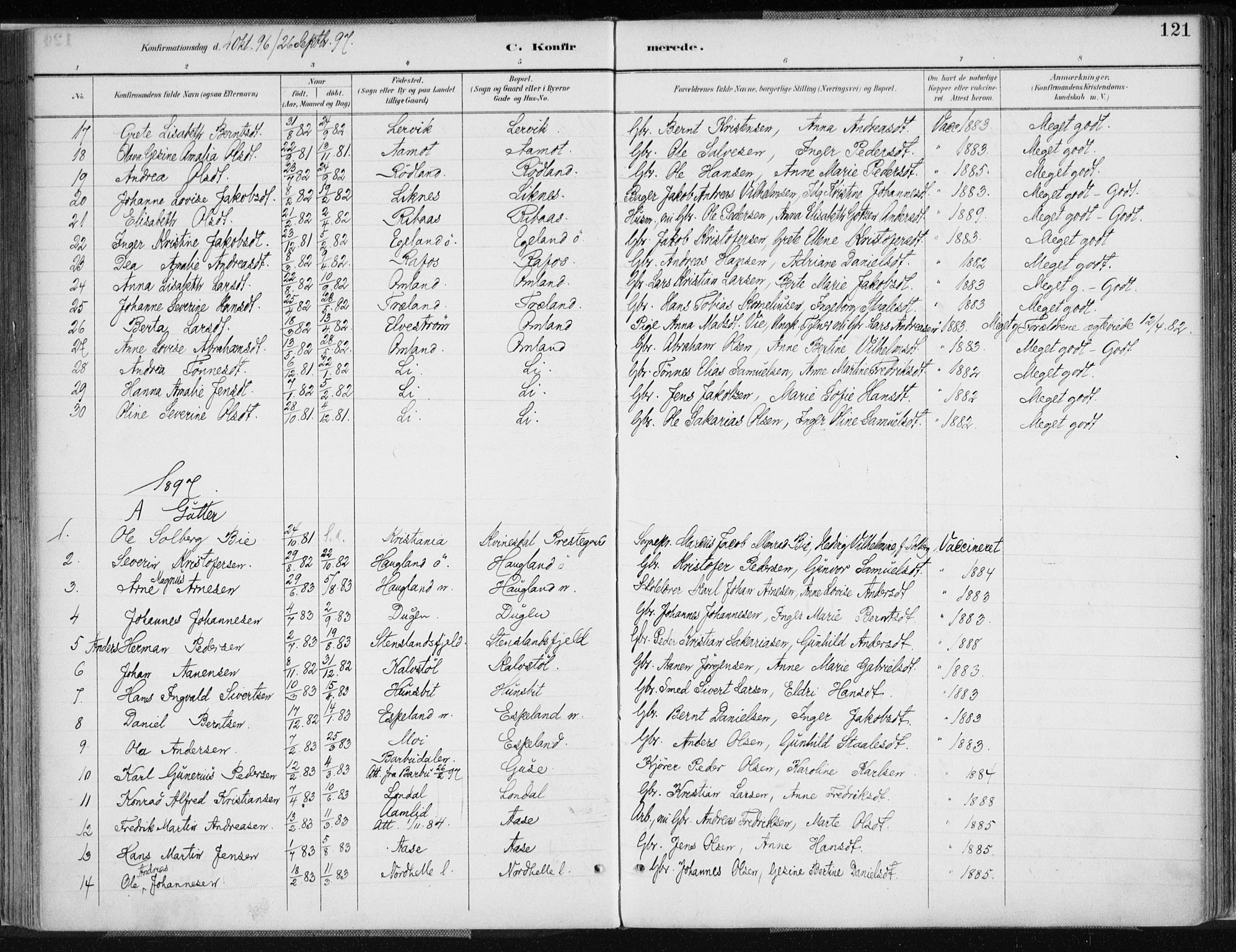 Kvinesdal sokneprestkontor, SAK/1111-0026/F/Fa/Fab/L0008: Parish register (official) no. A 8, 1886-1897, p. 121
