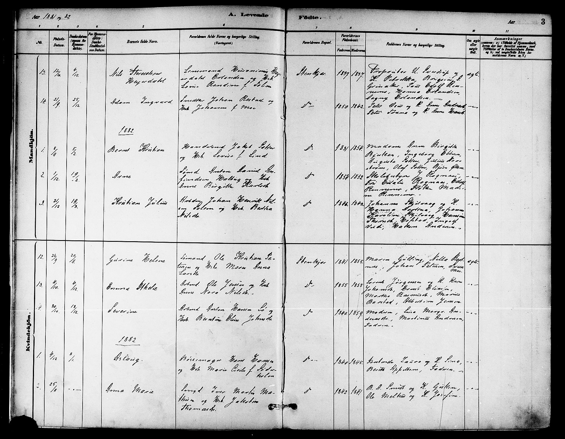 Ministerialprotokoller, klokkerbøker og fødselsregistre - Nord-Trøndelag, SAT/A-1458/739/L0371: Parish register (official) no. 739A03, 1881-1895, p. 3