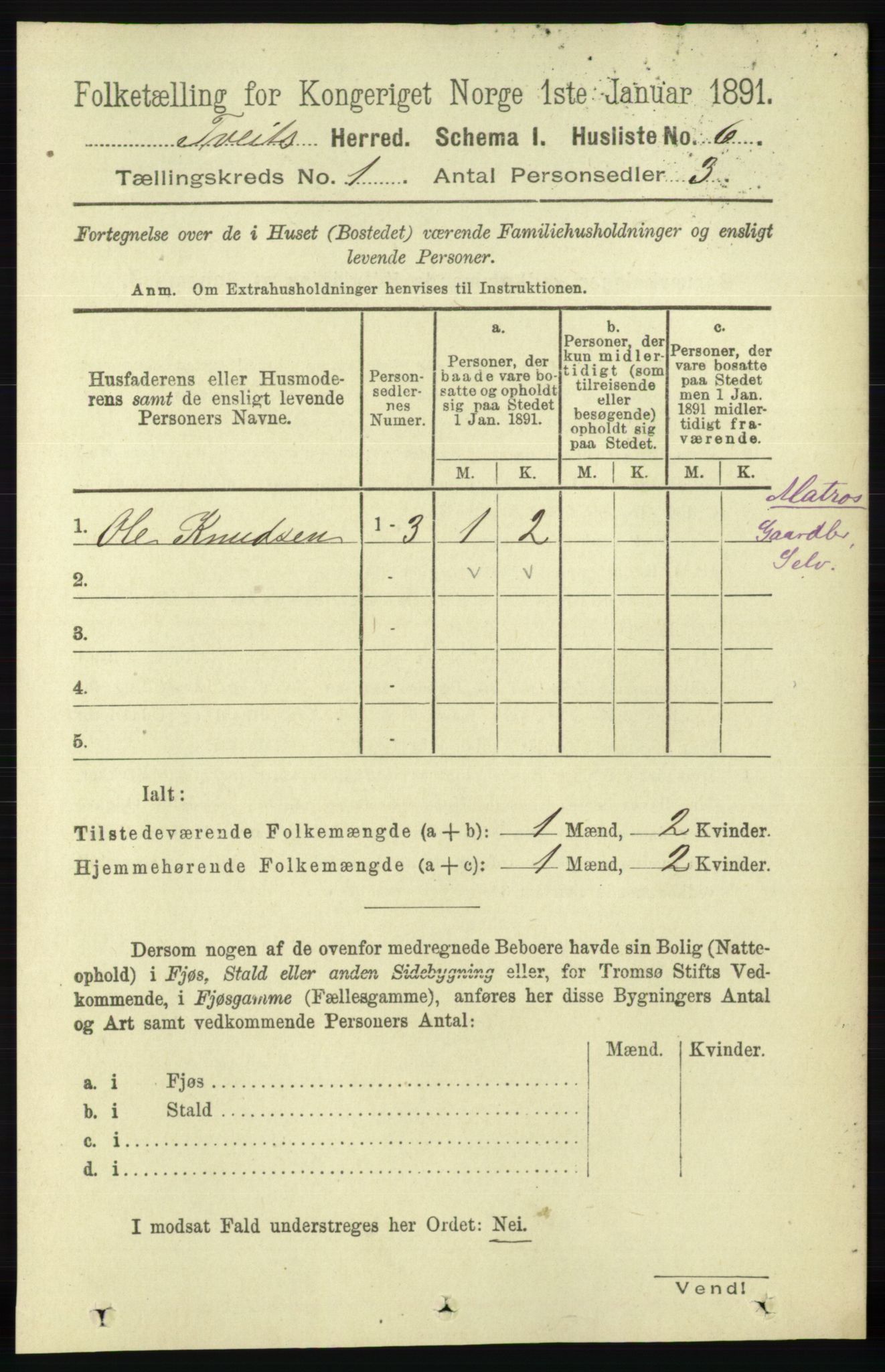 RA, 1891 census for 1013 Tveit, 1891, p. 20