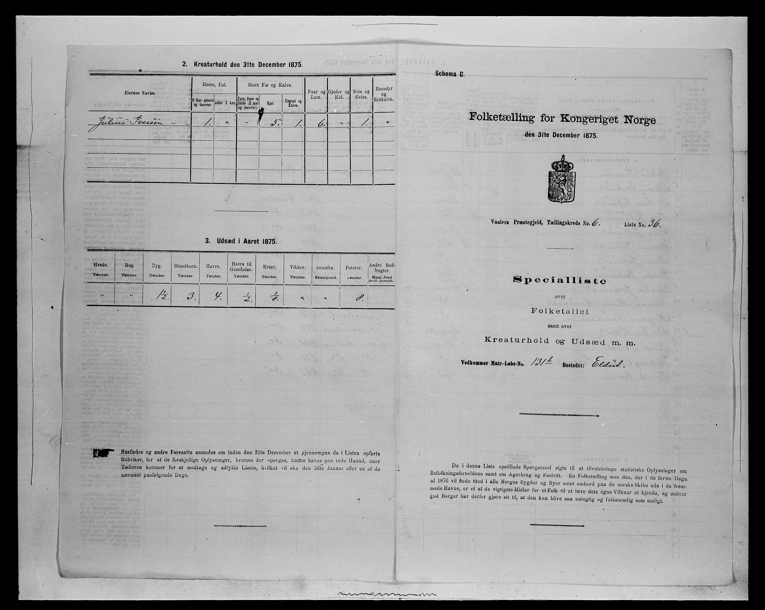 SAH, 1875 census for 0426P Våler parish (Hedmark), 1875, p. 785