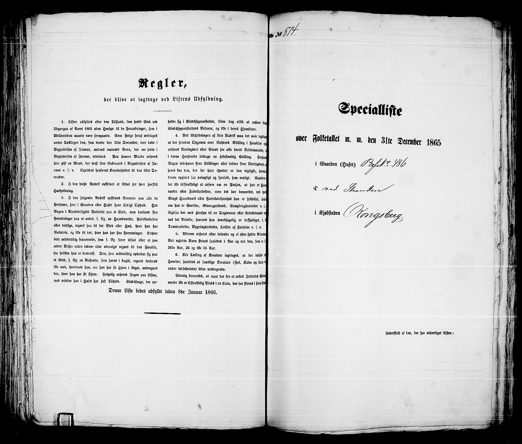 RA, 1865 census for Kongsberg/Kongsberg, 1865, p. 1166