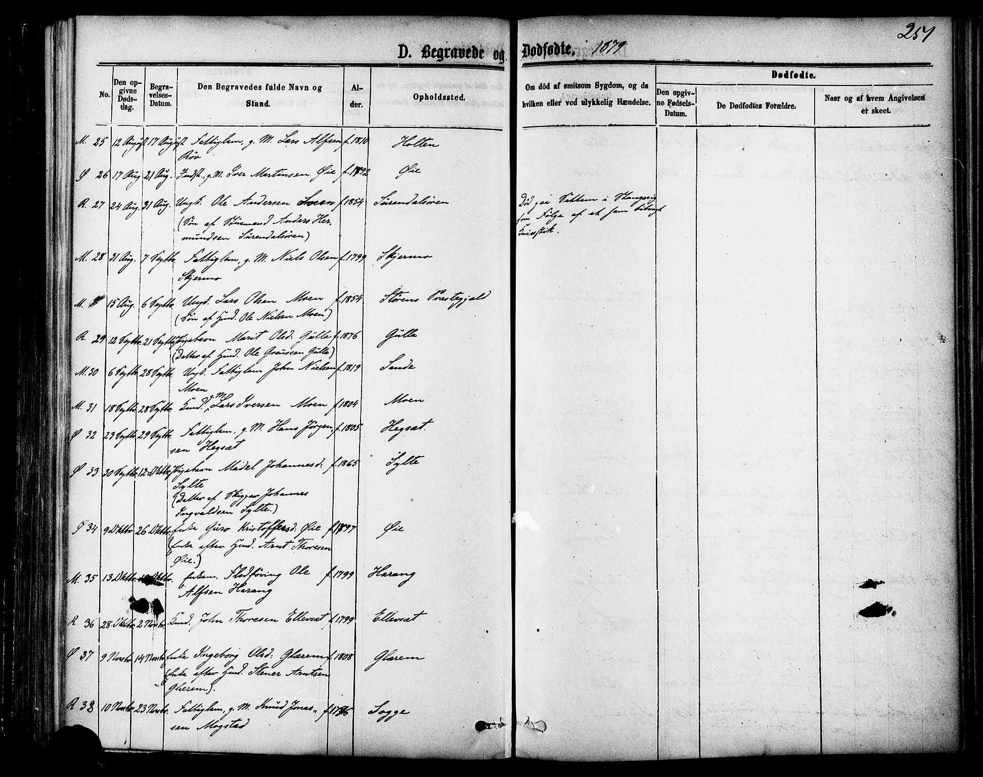 Ministerialprotokoller, klokkerbøker og fødselsregistre - Møre og Romsdal, AV/SAT-A-1454/595/L1046: Parish register (official) no. 595A08, 1874-1884, p. 251