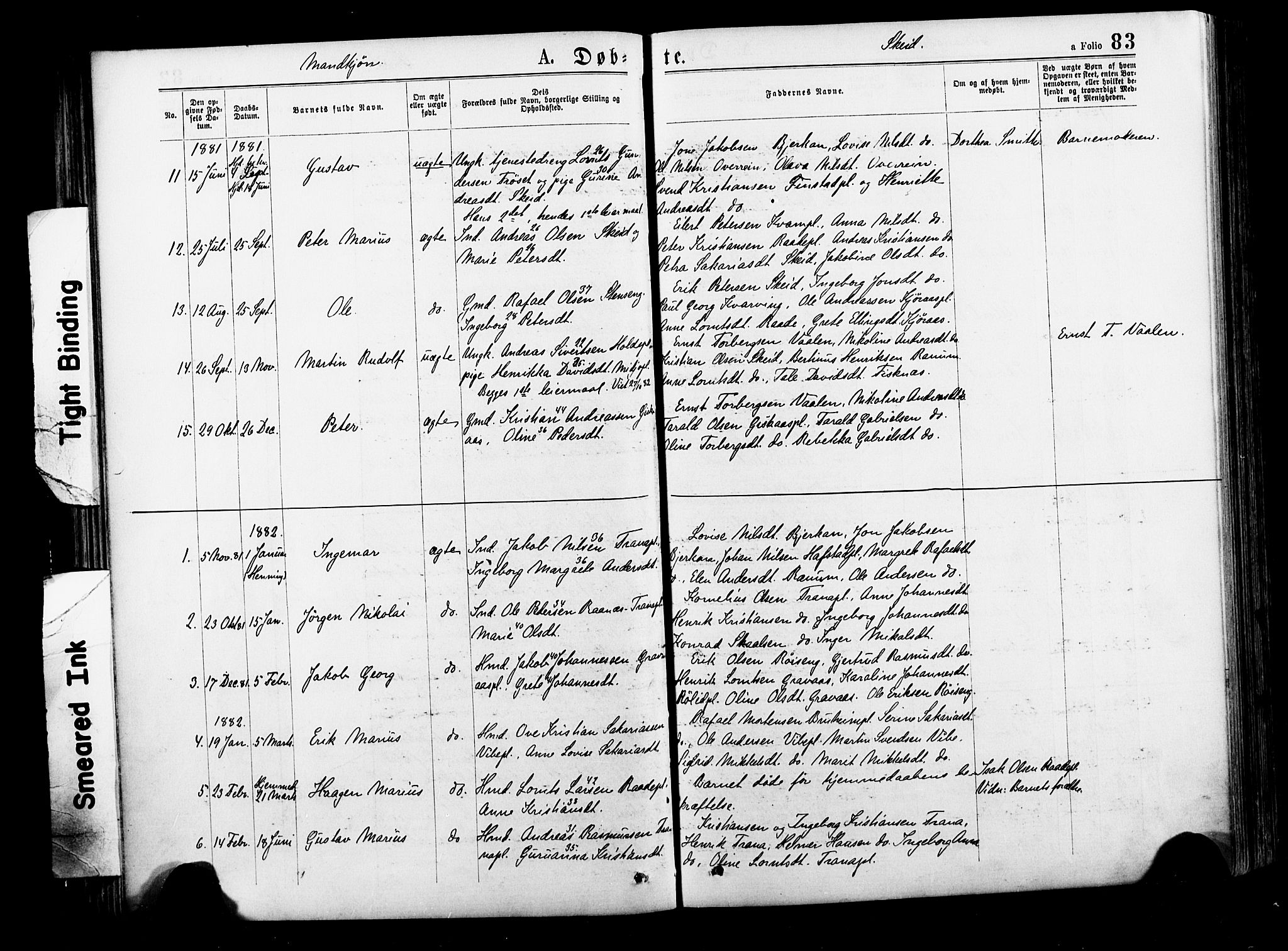 Ministerialprotokoller, klokkerbøker og fødselsregistre - Nord-Trøndelag, SAT/A-1458/735/L0348: Parish register (official) no. 735A09 /2, 1873-1883, p. 83