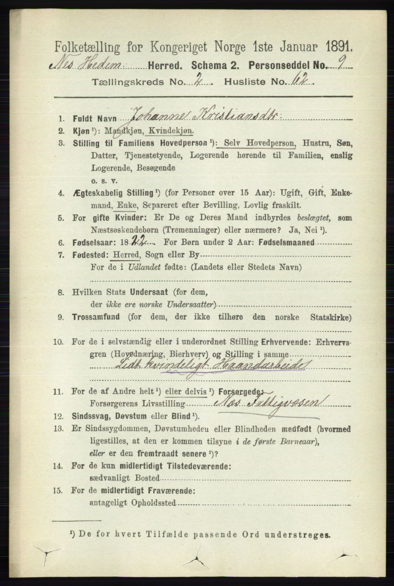 RA, 1891 census for 0411 Nes, 1891, p. 1507