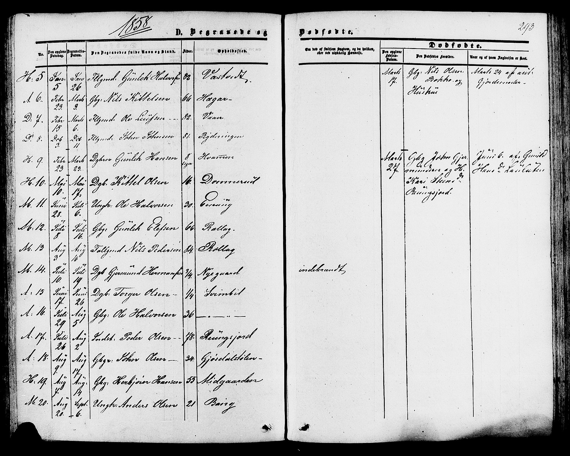 Tinn kirkebøker, SAKO/A-308/F/Fa/L0006: Parish register (official) no. I 6, 1857-1878, p. 293