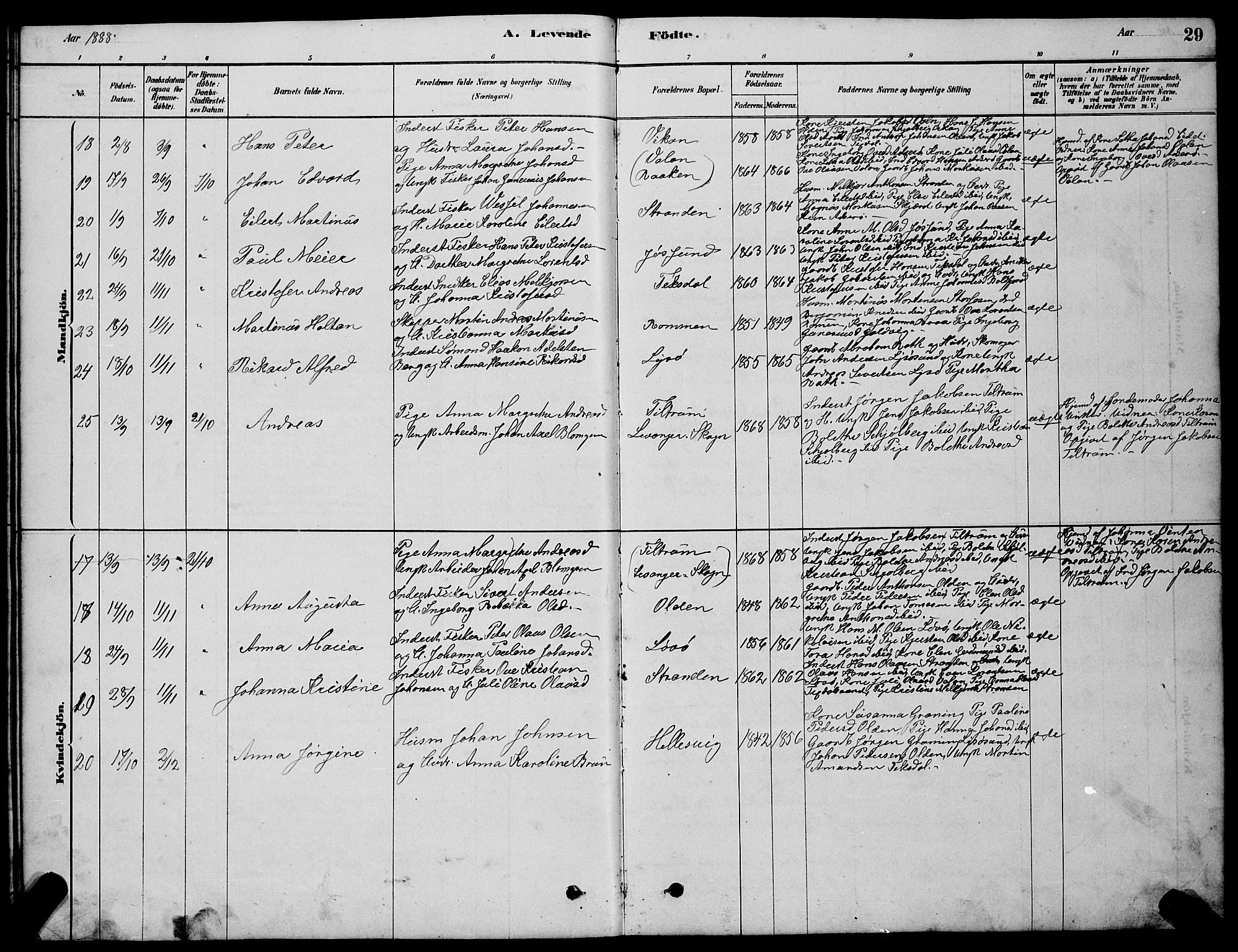 Ministerialprotokoller, klokkerbøker og fødselsregistre - Sør-Trøndelag, SAT/A-1456/654/L0665: Parish register (copy) no. 654C01, 1879-1901, p. 29