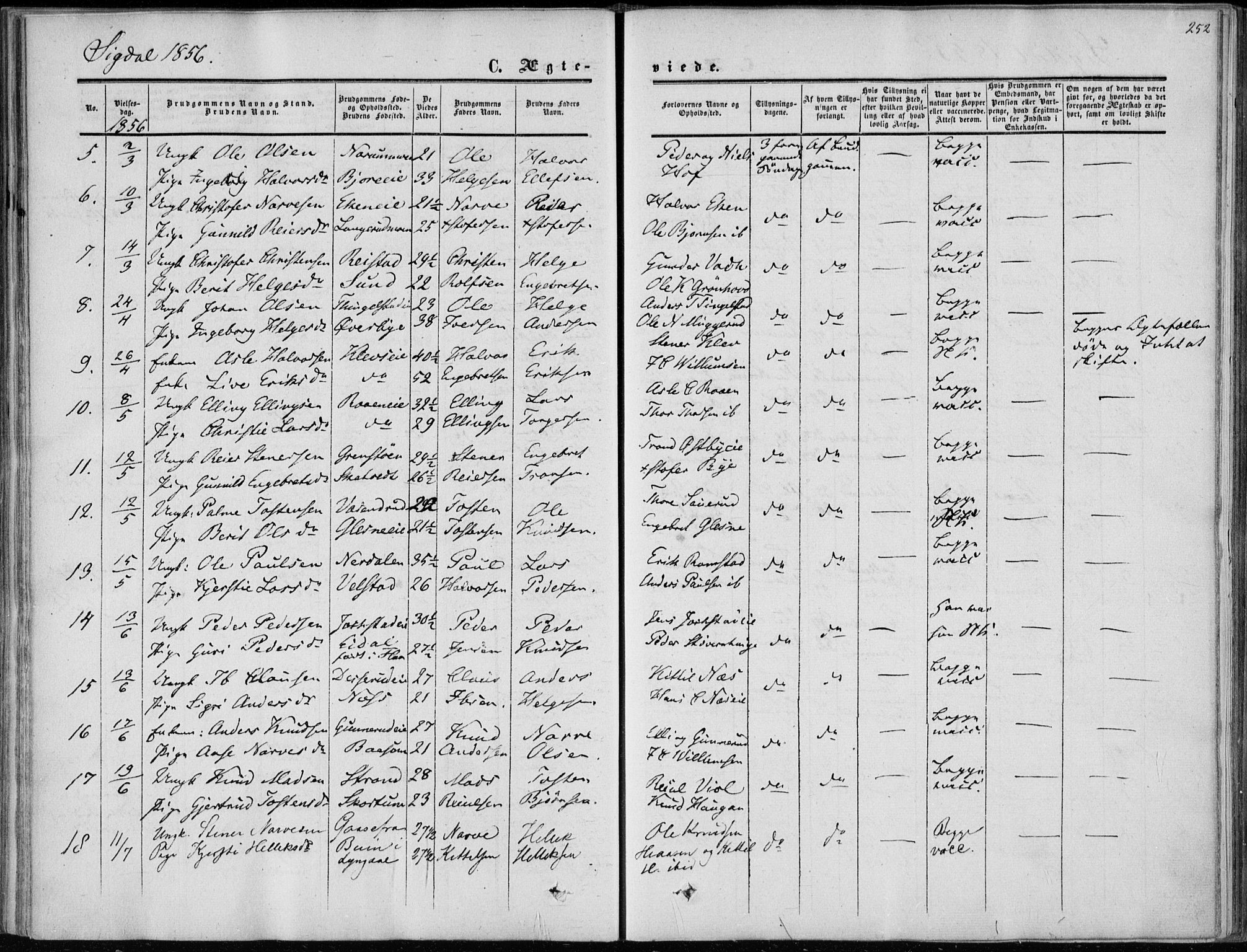 Sigdal kirkebøker, AV/SAKO-A-245/F/Fa/L0008: Parish register (official) no. I 8, 1850-1859, p. 252