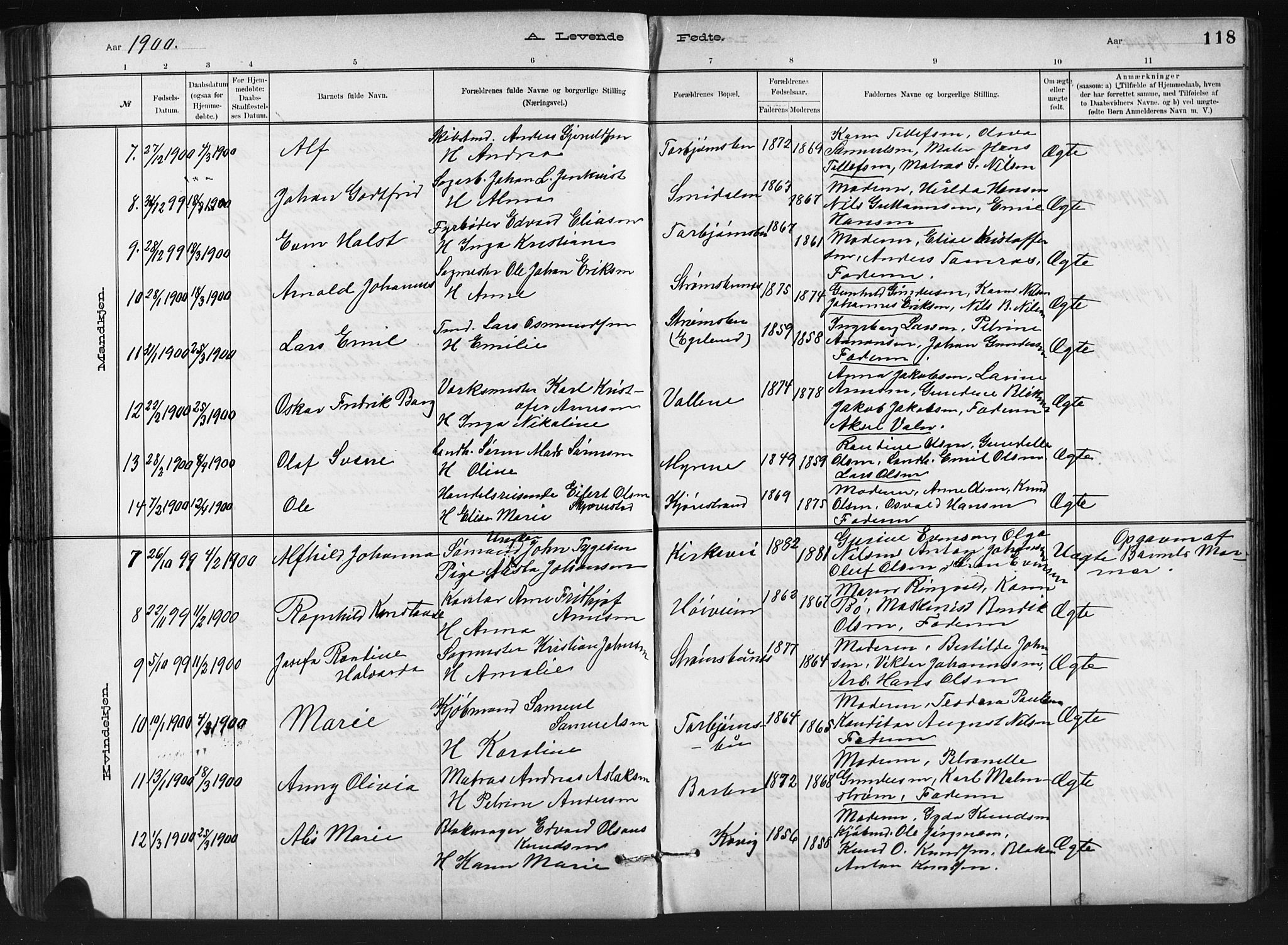 Barbu sokneprestkontor, SAK/1111-0003/F/Fb/L0002: Parish register (copy) no. B 2, 1890-1922, p. 118