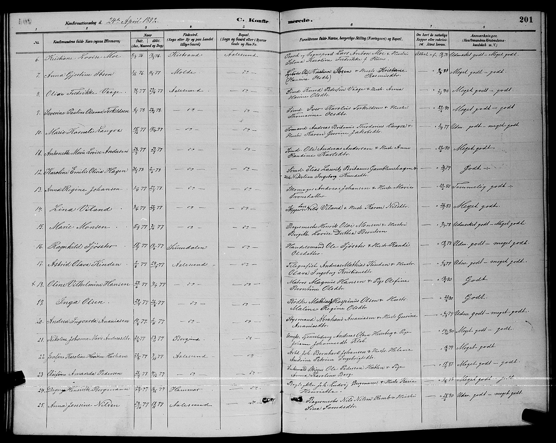 Ministerialprotokoller, klokkerbøker og fødselsregistre - Møre og Romsdal, AV/SAT-A-1454/529/L0467: Parish register (copy) no. 529C04, 1889-1897, p. 201