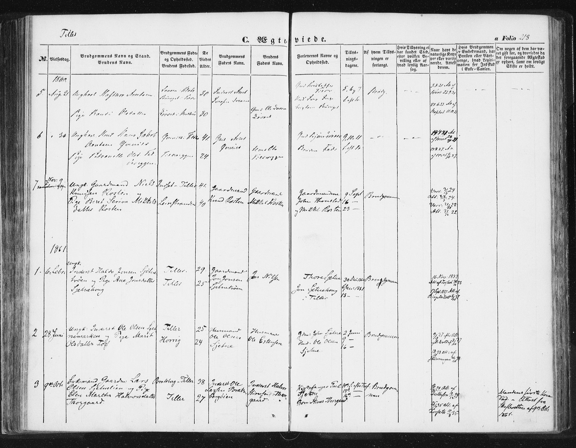 Ministerialprotokoller, klokkerbøker og fødselsregistre - Sør-Trøndelag, SAT/A-1456/618/L0441: Parish register (official) no. 618A05, 1843-1862, p. 218