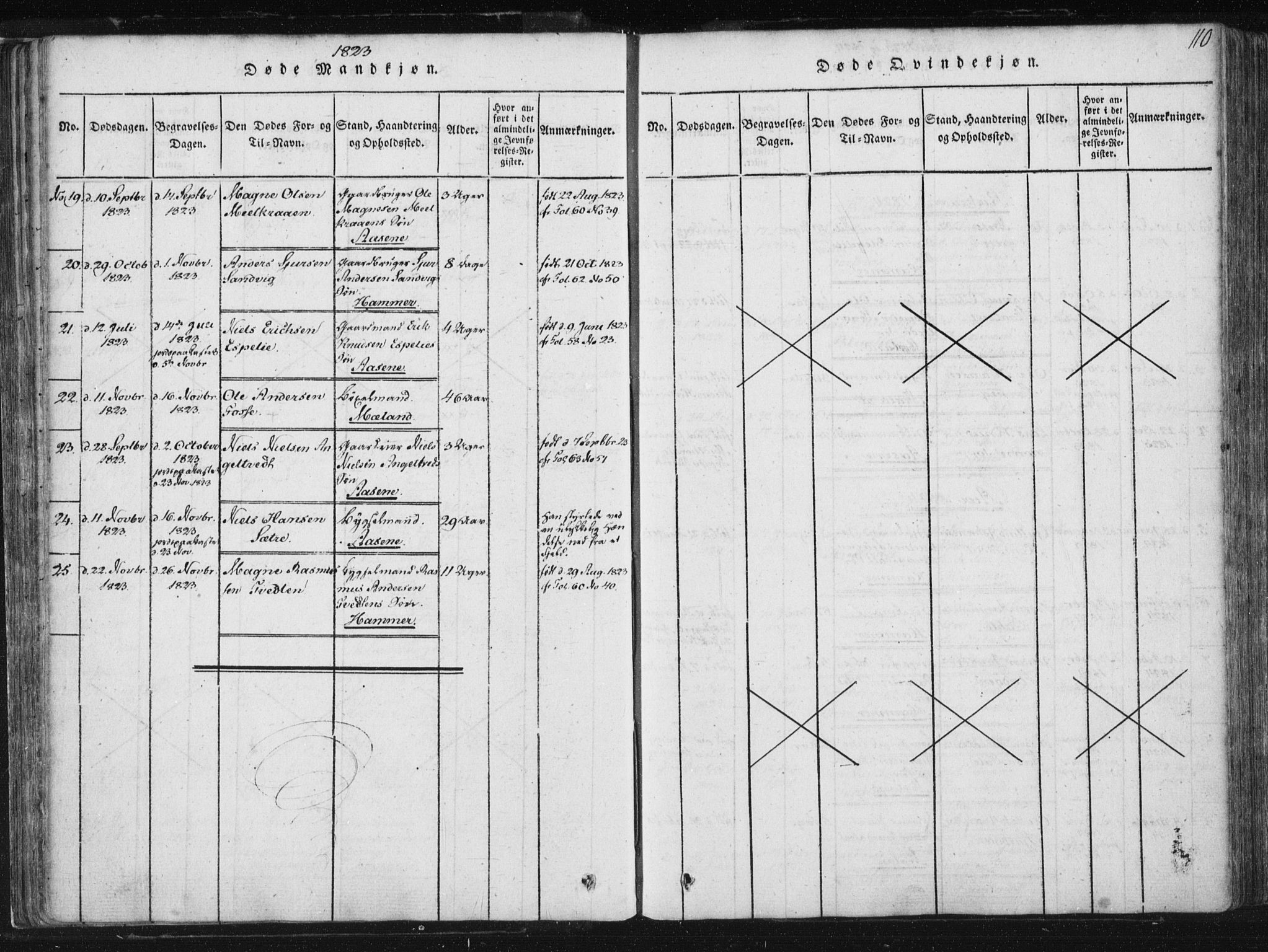 Hamre sokneprestembete, AV/SAB-A-75501/H/Ha/Haa/Haaa/L0010: Parish register (official) no. A 10, 1816-1826, p. 110