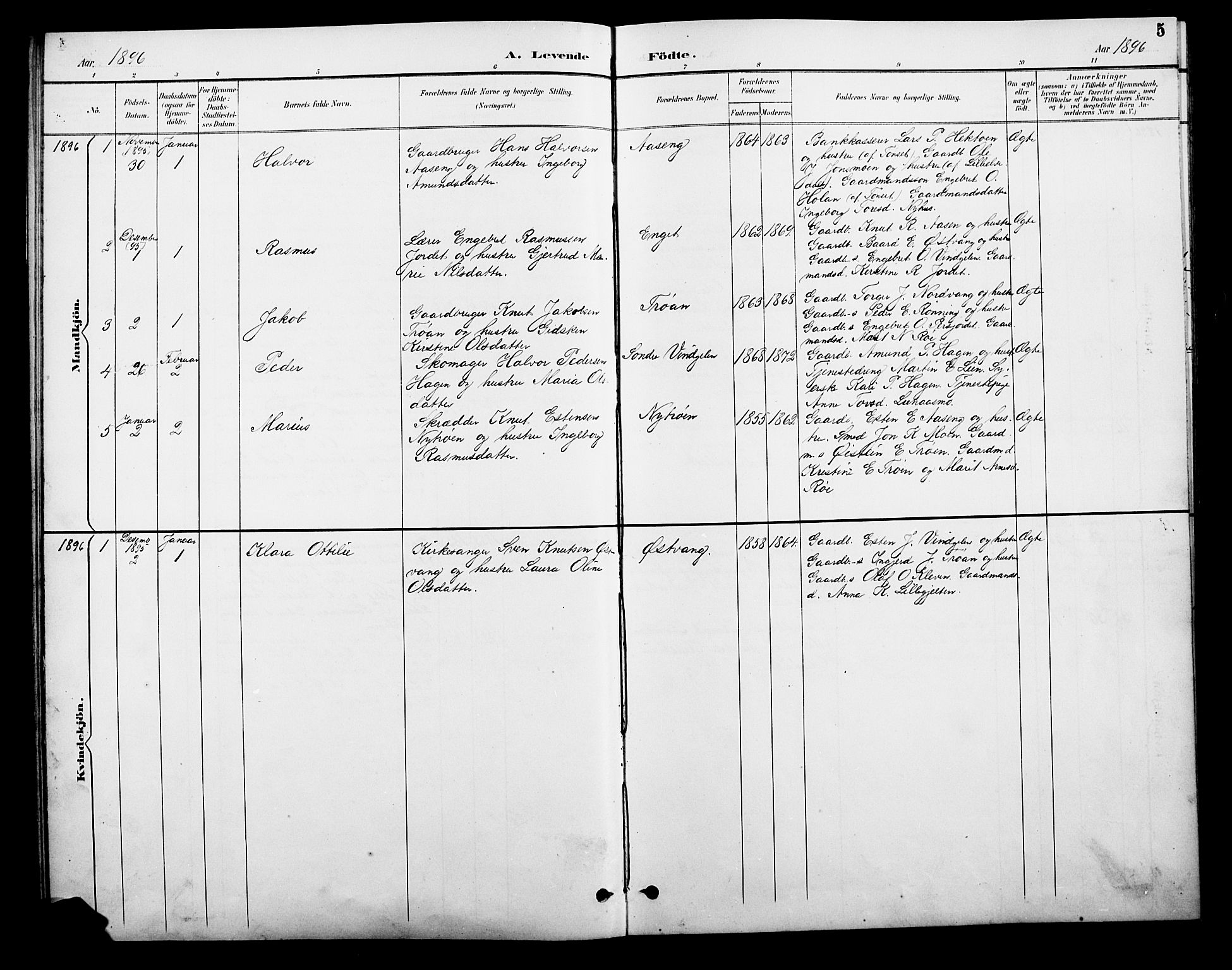 Tolga prestekontor, AV/SAH-PREST-062/L/L0010: Parish register (copy) no. 10, 1894-1918, p. 5