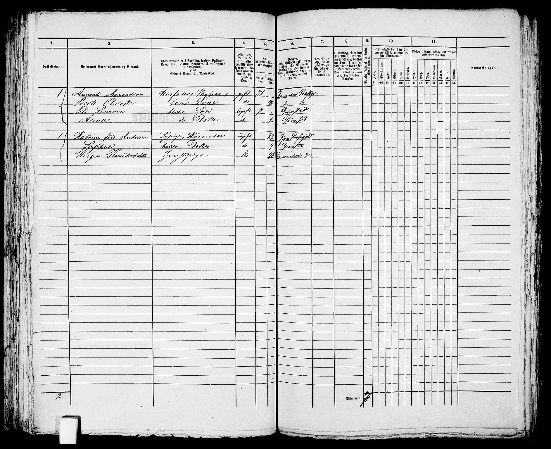 RA, 1865 census for Fjære/Grimstad, 1865, p. 196