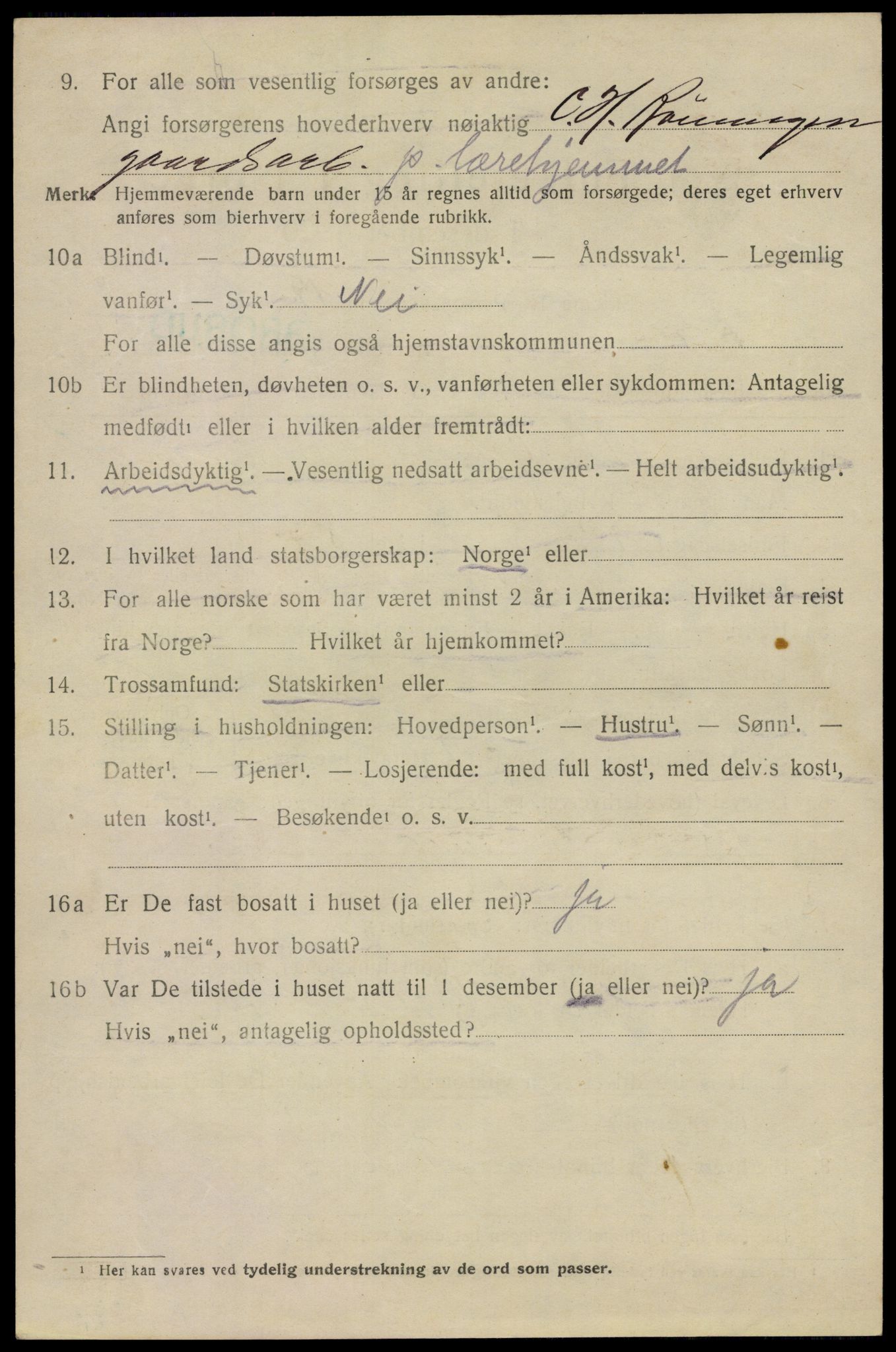 SAO, 1920 census for Aker, 1920, p. 117395