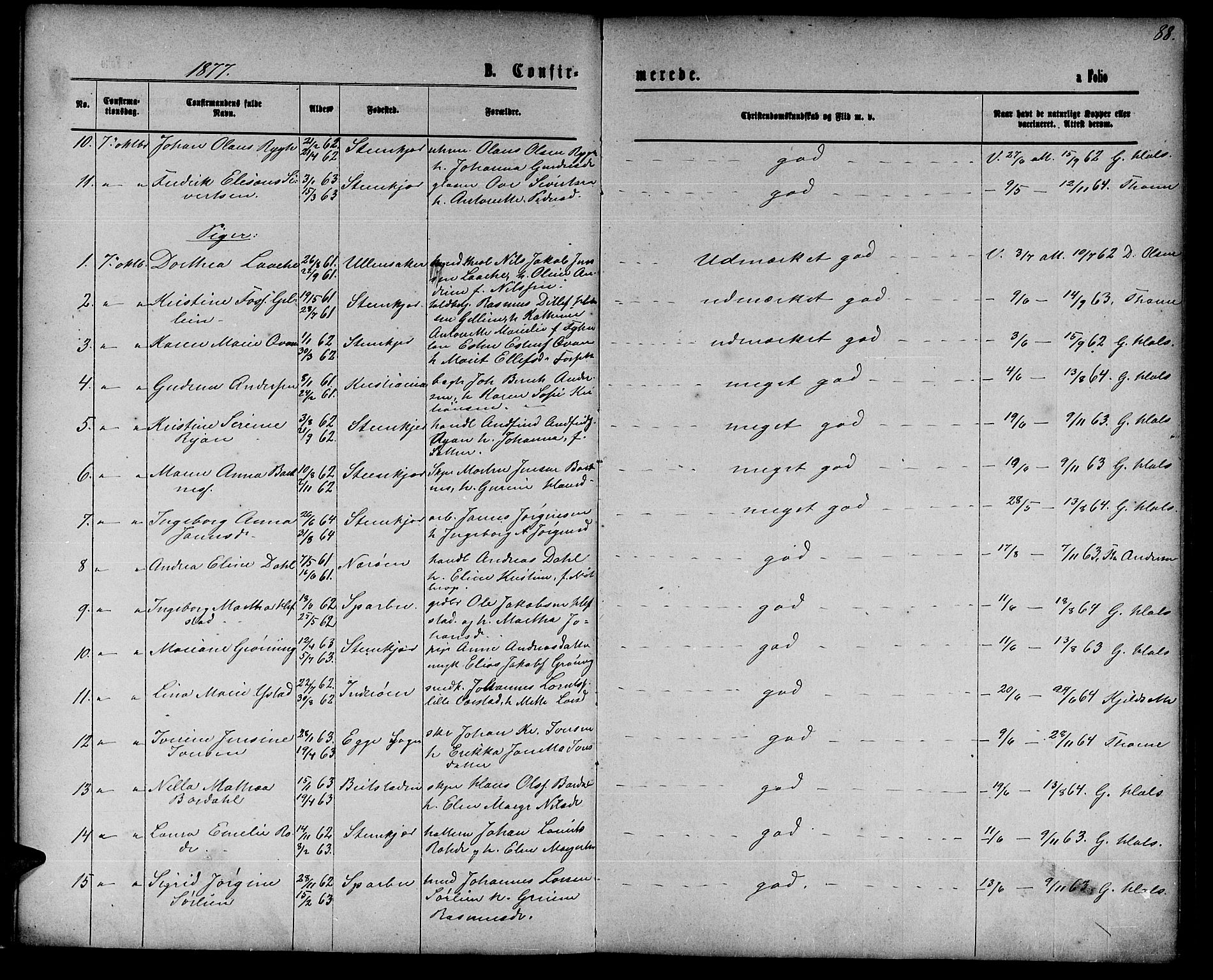 Ministerialprotokoller, klokkerbøker og fødselsregistre - Nord-Trøndelag, AV/SAT-A-1458/739/L0373: Parish register (copy) no. 739C01, 1865-1882, p. 88