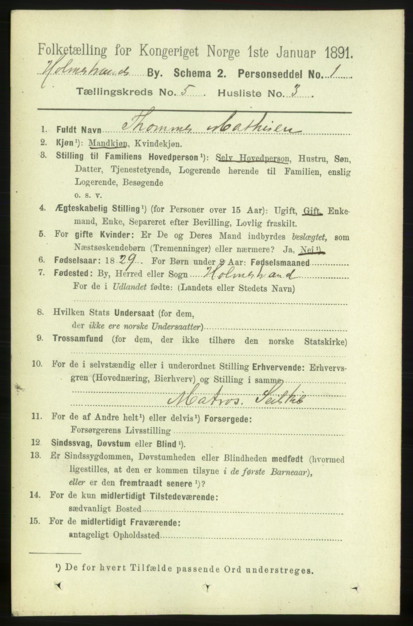 RA, 1891 census for 0702 Holmestrand, 1891, p. 2660