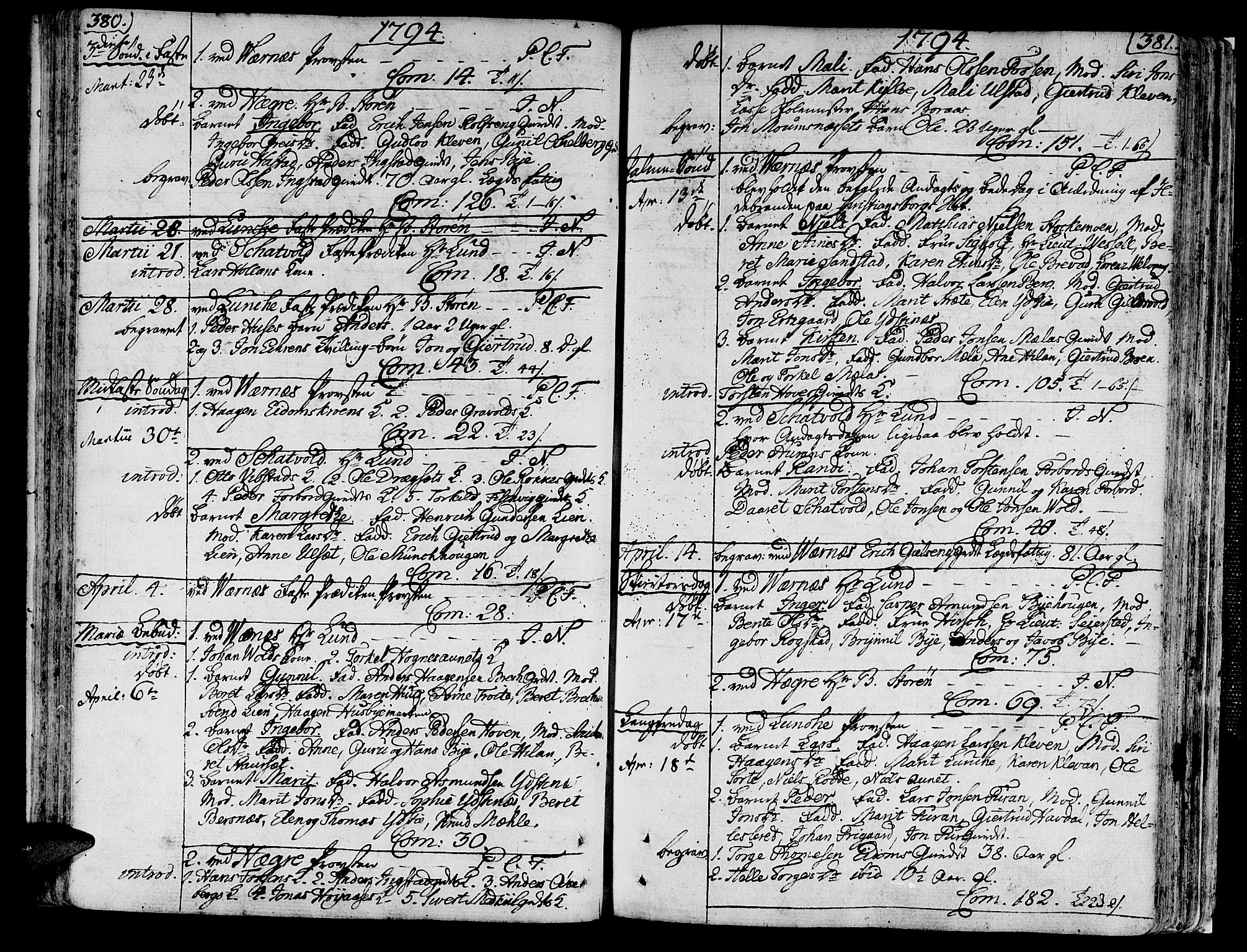 Ministerialprotokoller, klokkerbøker og fødselsregistre - Nord-Trøndelag, AV/SAT-A-1458/709/L0059: Parish register (official) no. 709A06, 1781-1797, p. 380-381